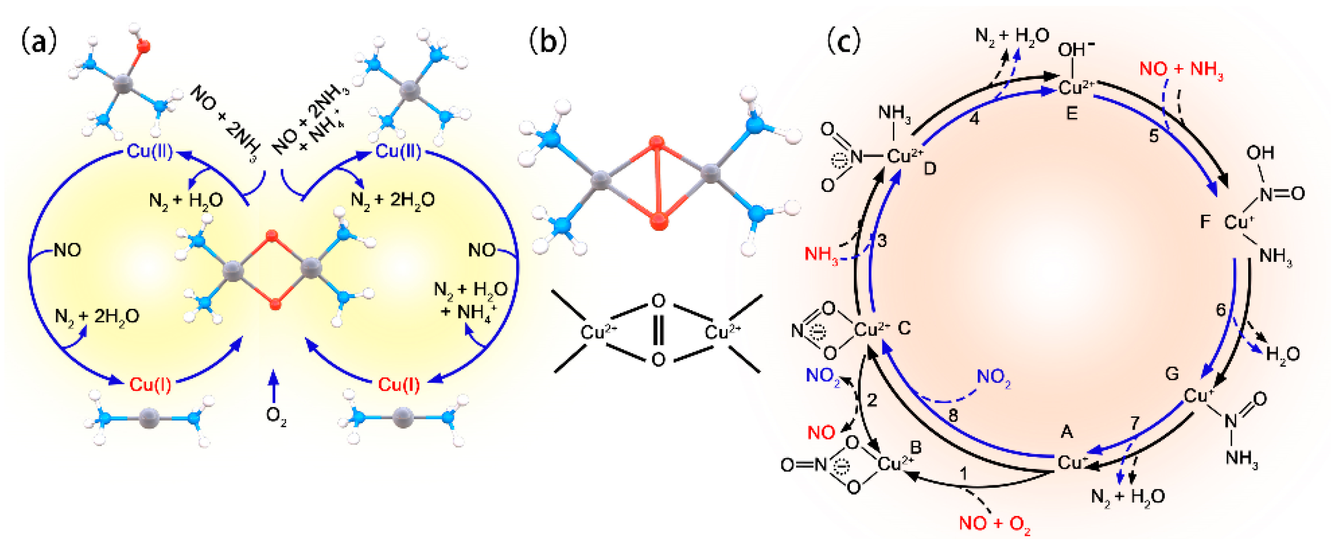 Catalysts 12 01499 g003 Catalysts 12 01499 g003
