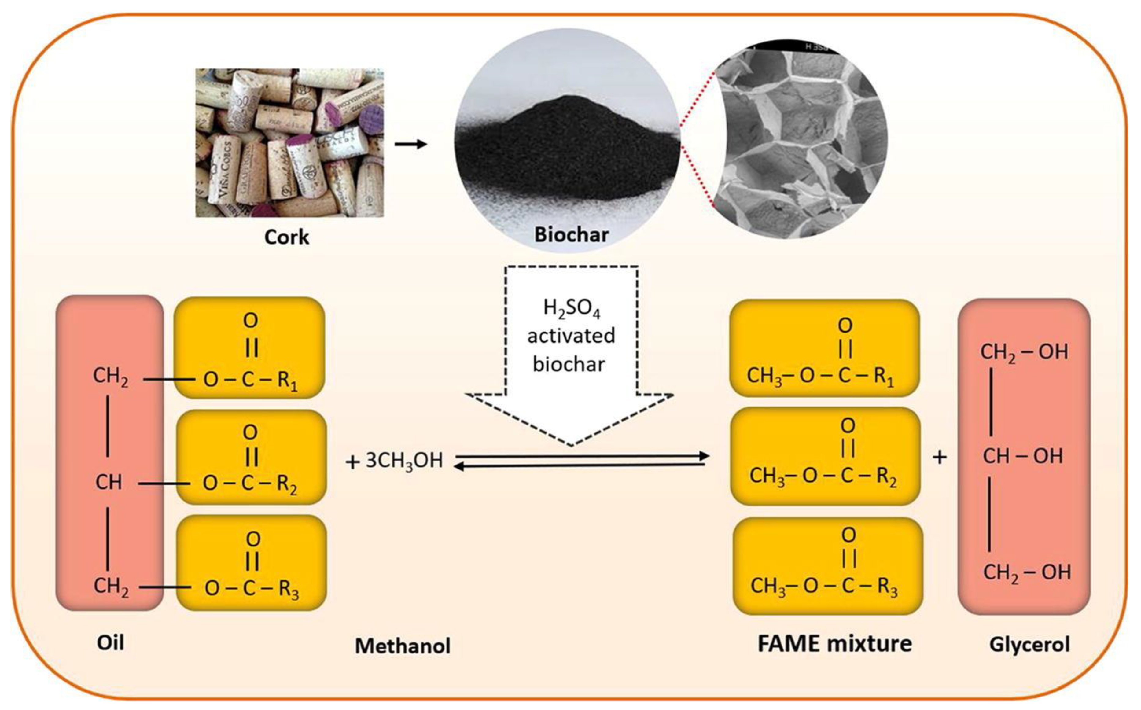Catalysts 12 01501 g005
