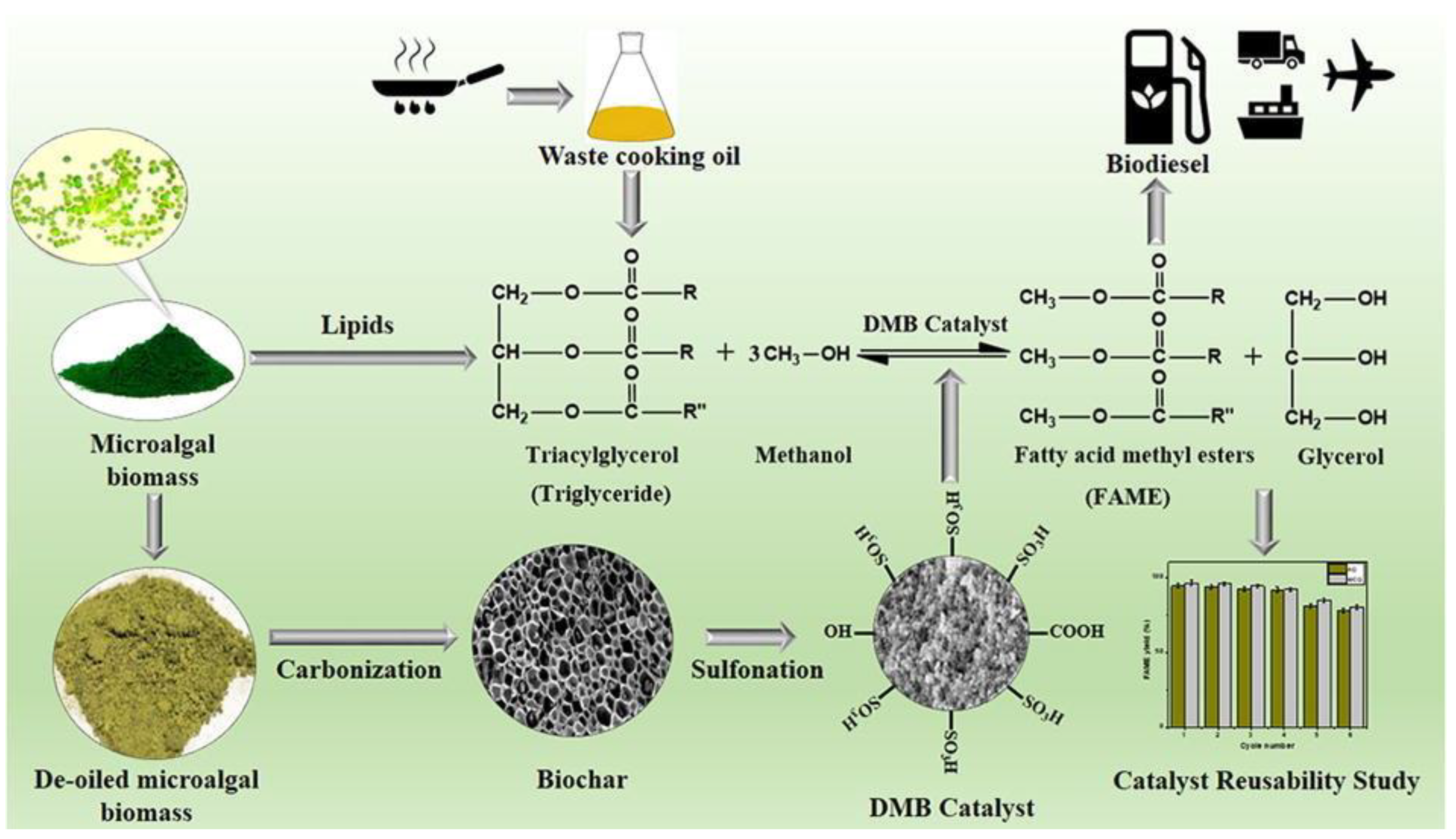Catalysts 12 01501 g009