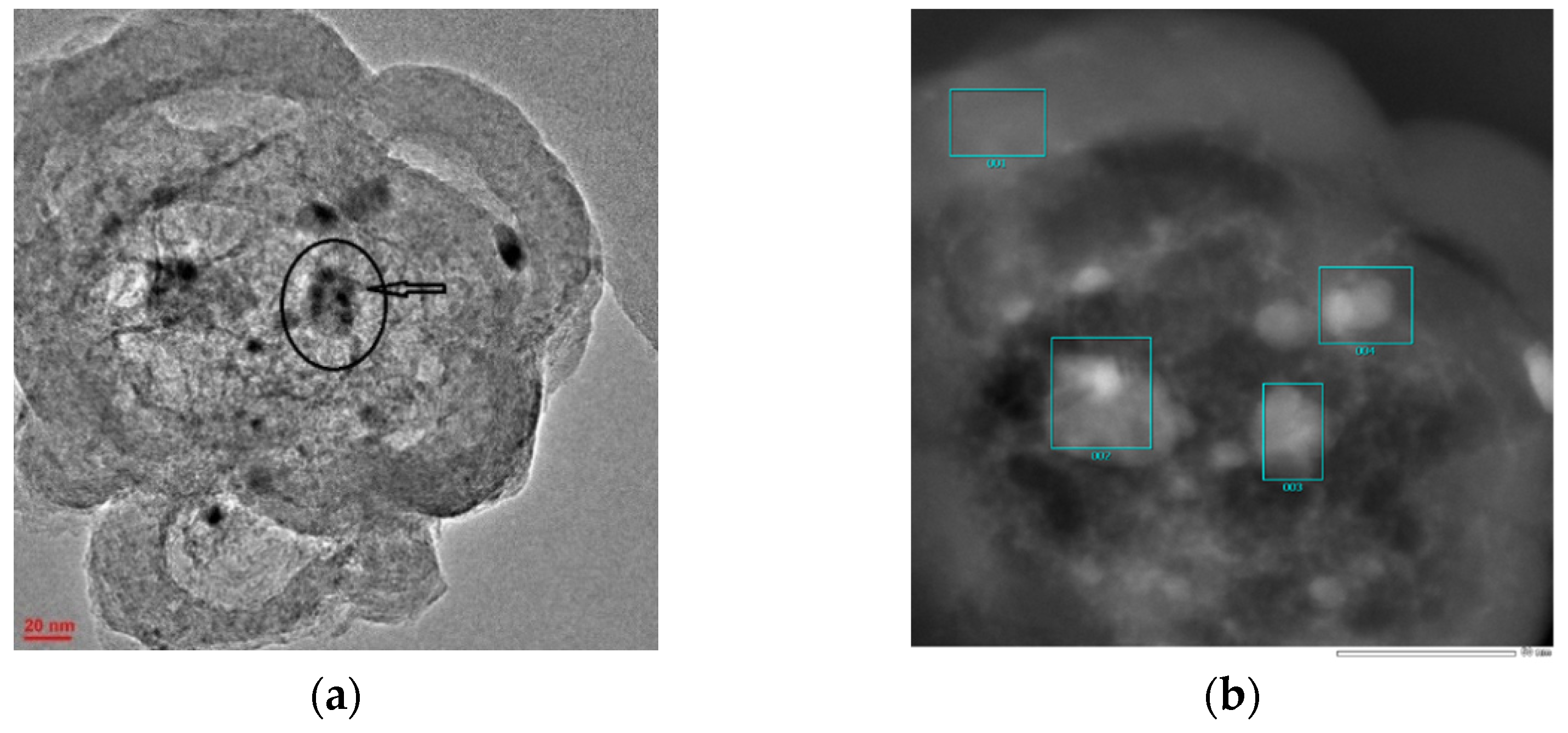 Catalysts 12 01506 g001a