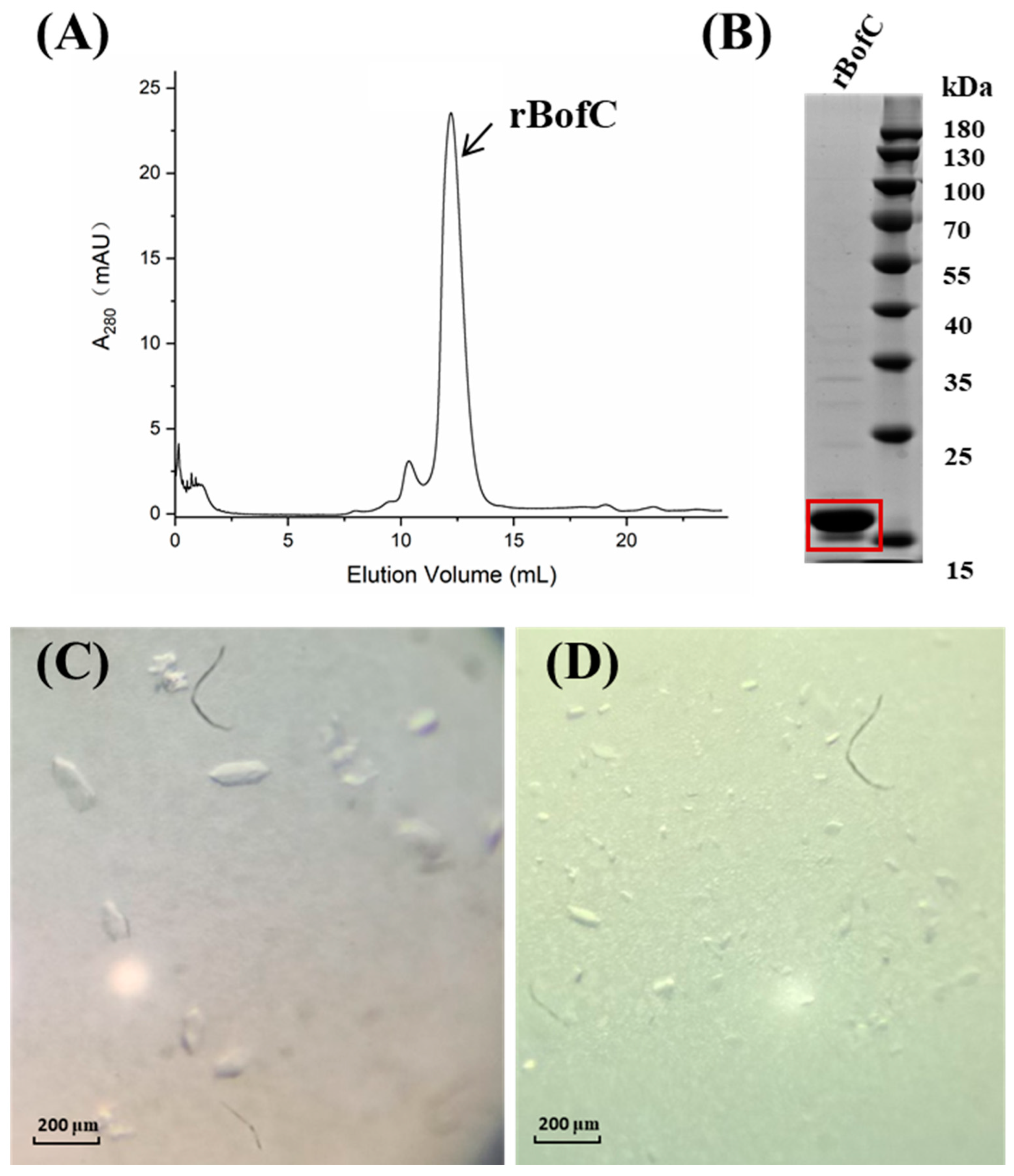 Catalysts 12 01530 g001