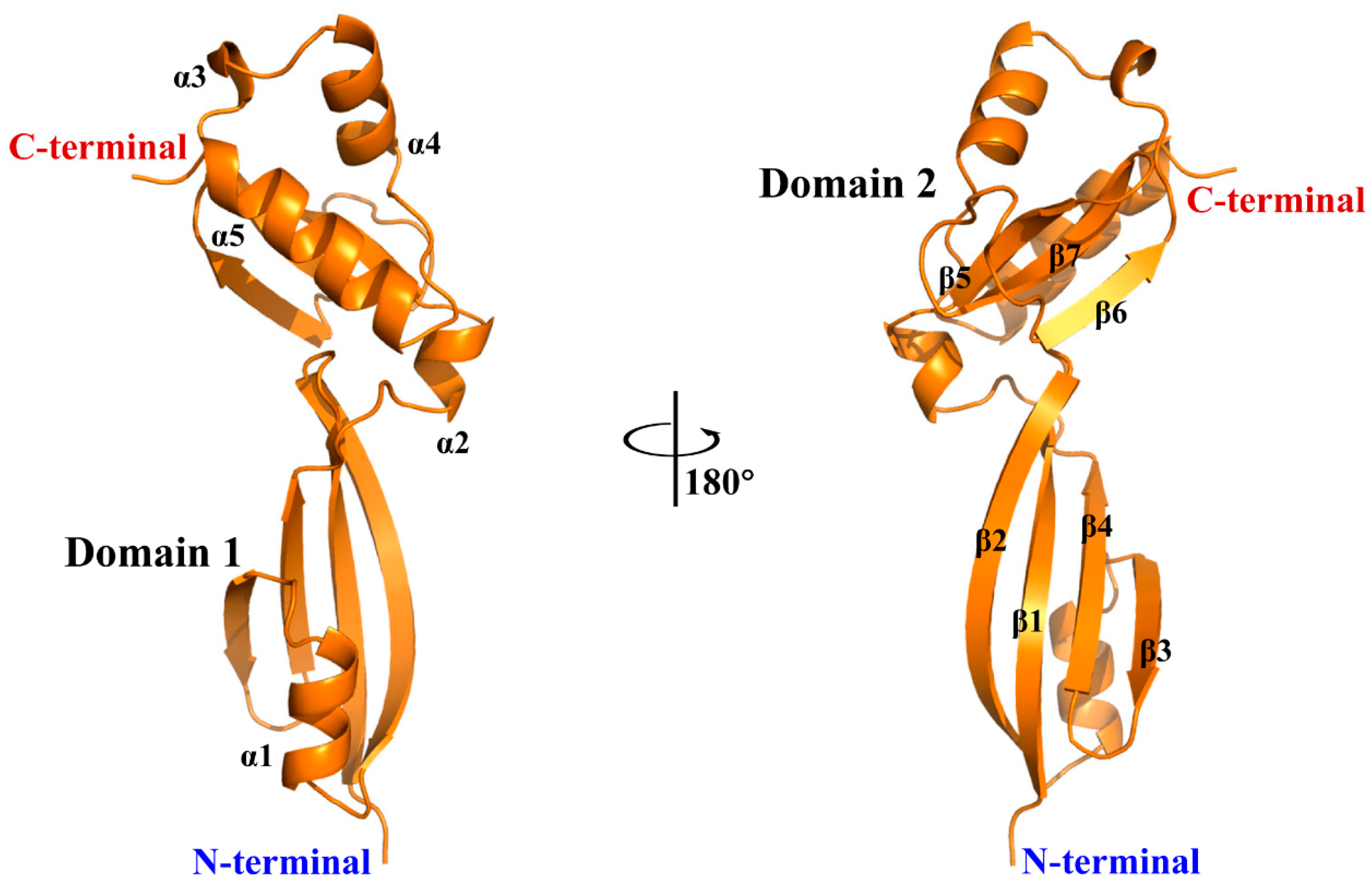 Catalysts 12 01530 g002