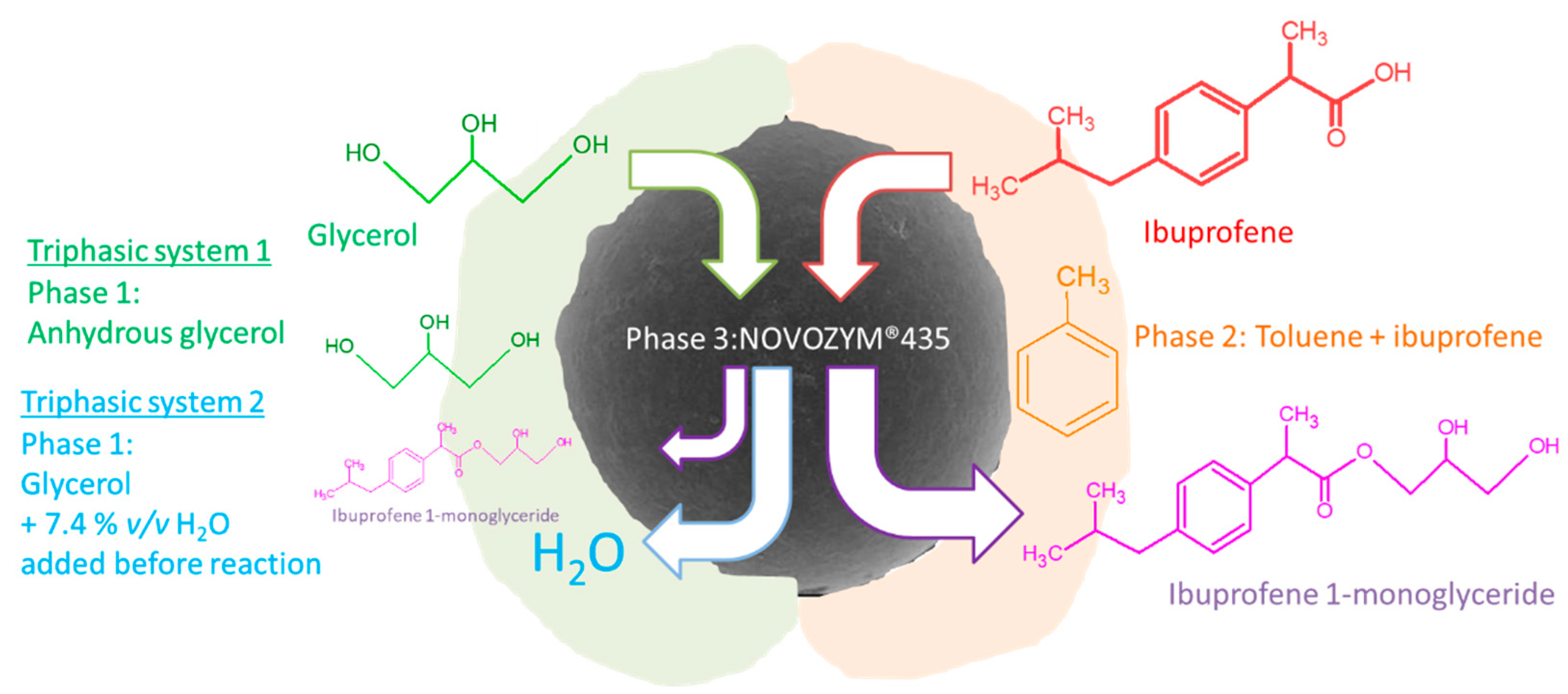 Catalysts 12 01531 g001