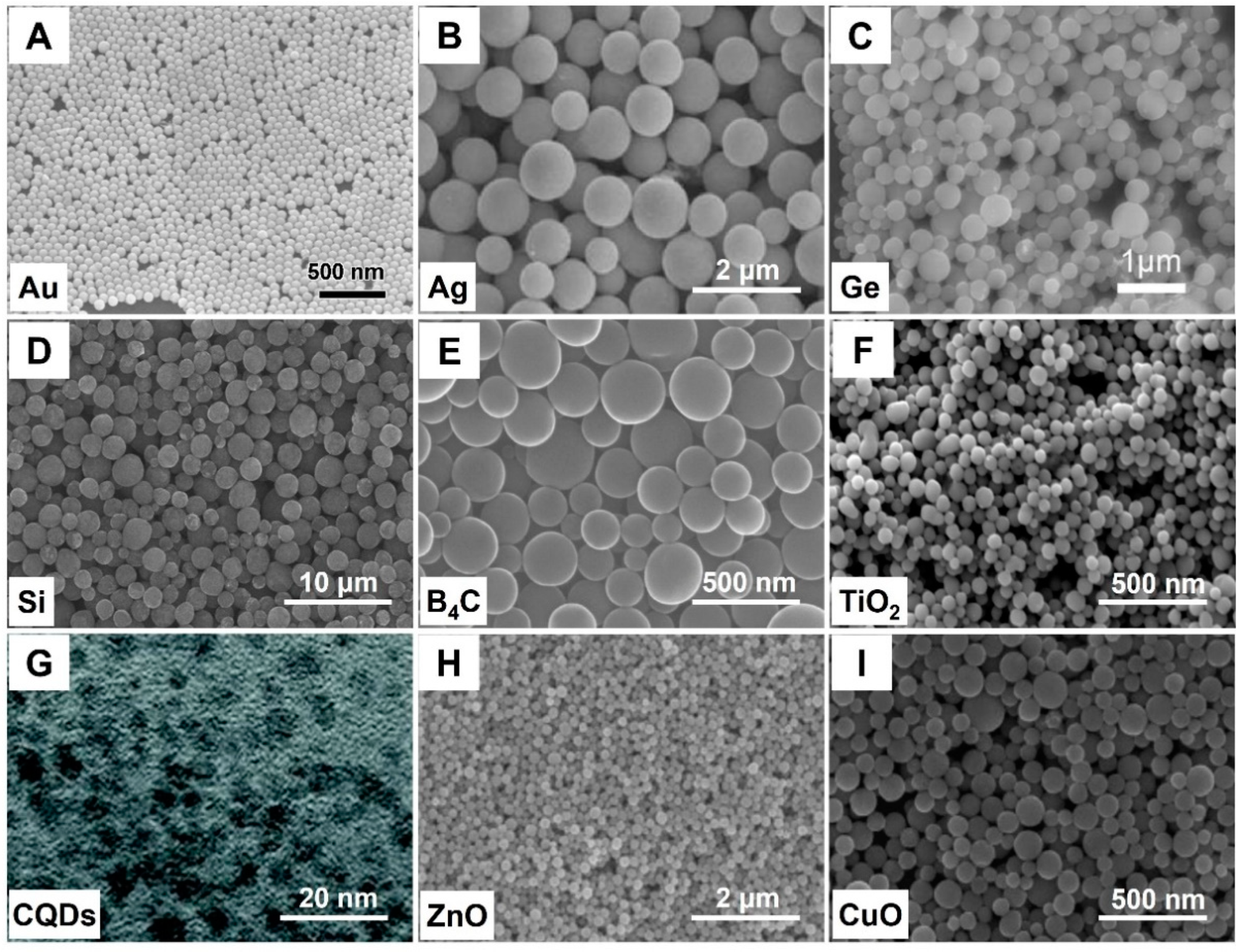 Catalysts 12 01532 g002