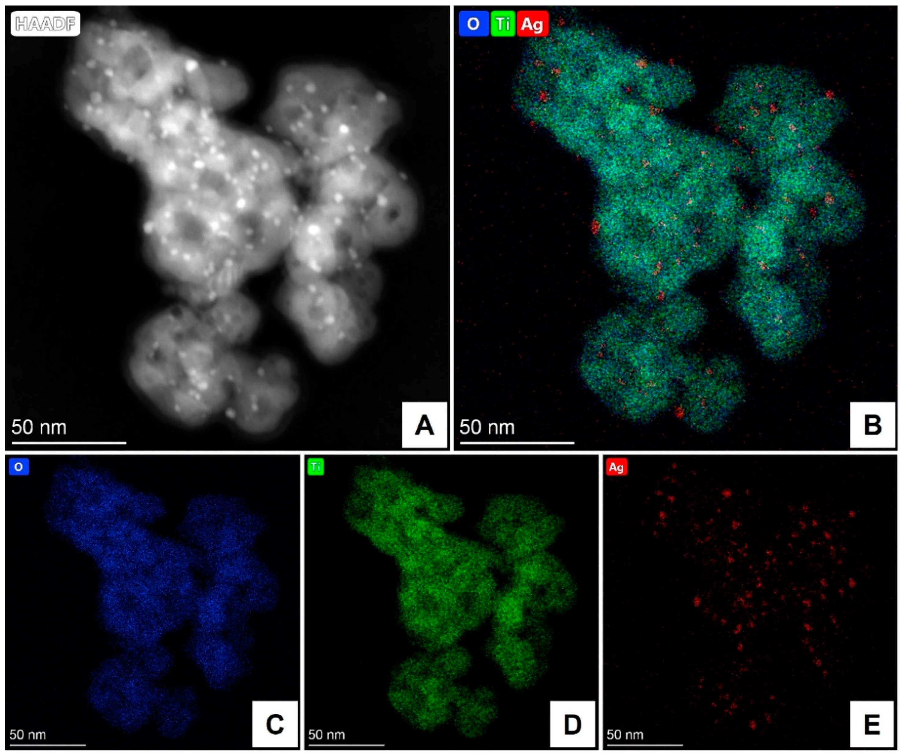 Catalysts 12 01532 g005