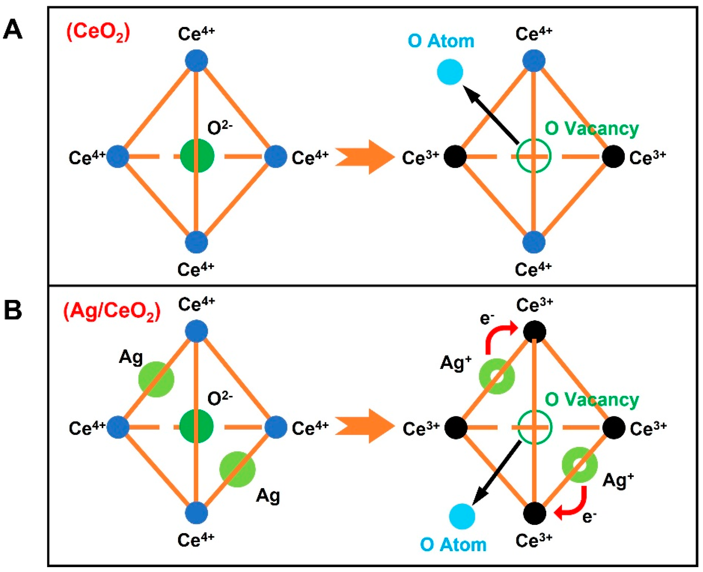 Catalysts 12 01532 g007