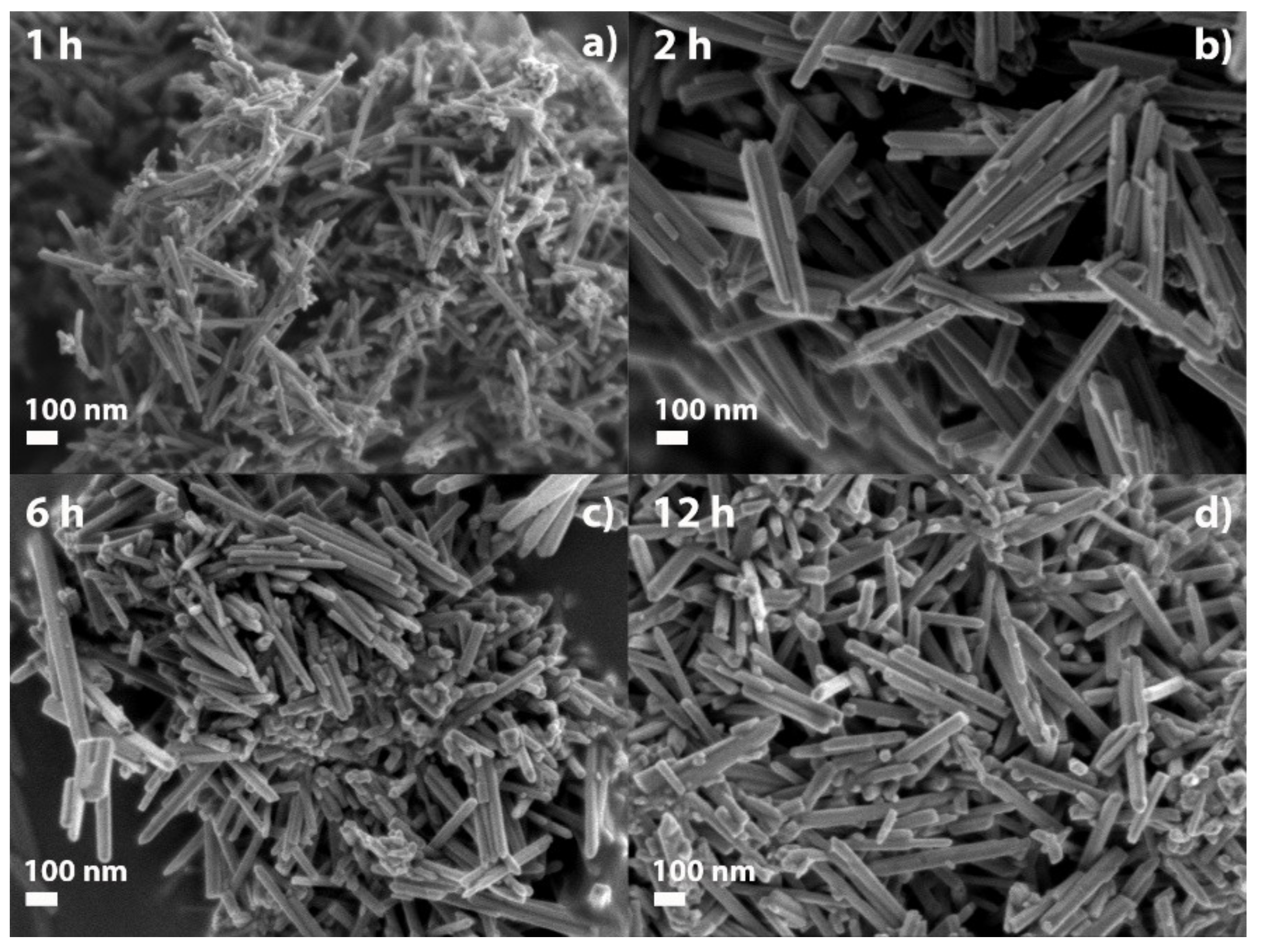 Catalysts 12 01533 g001
