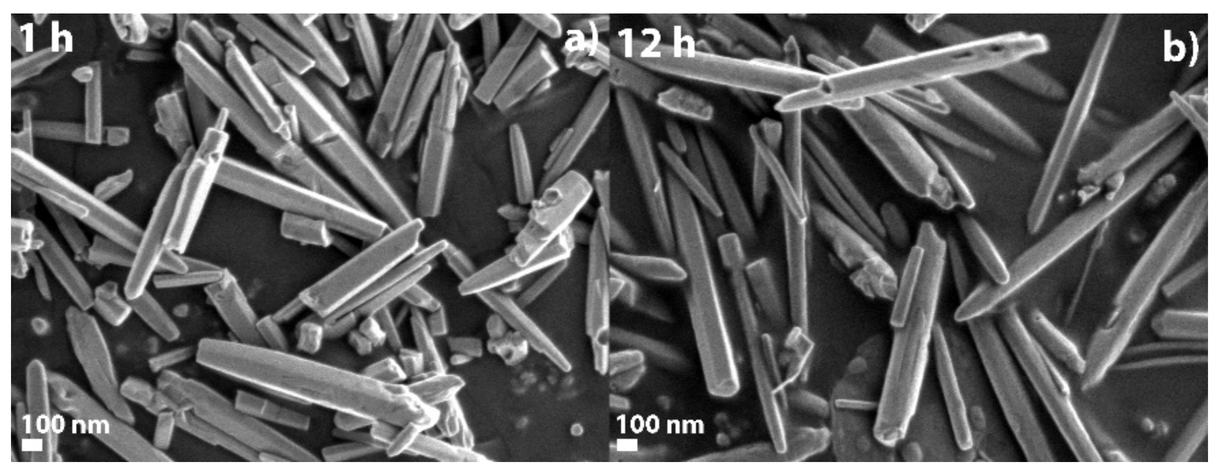 Catalysts 12 01533 g002