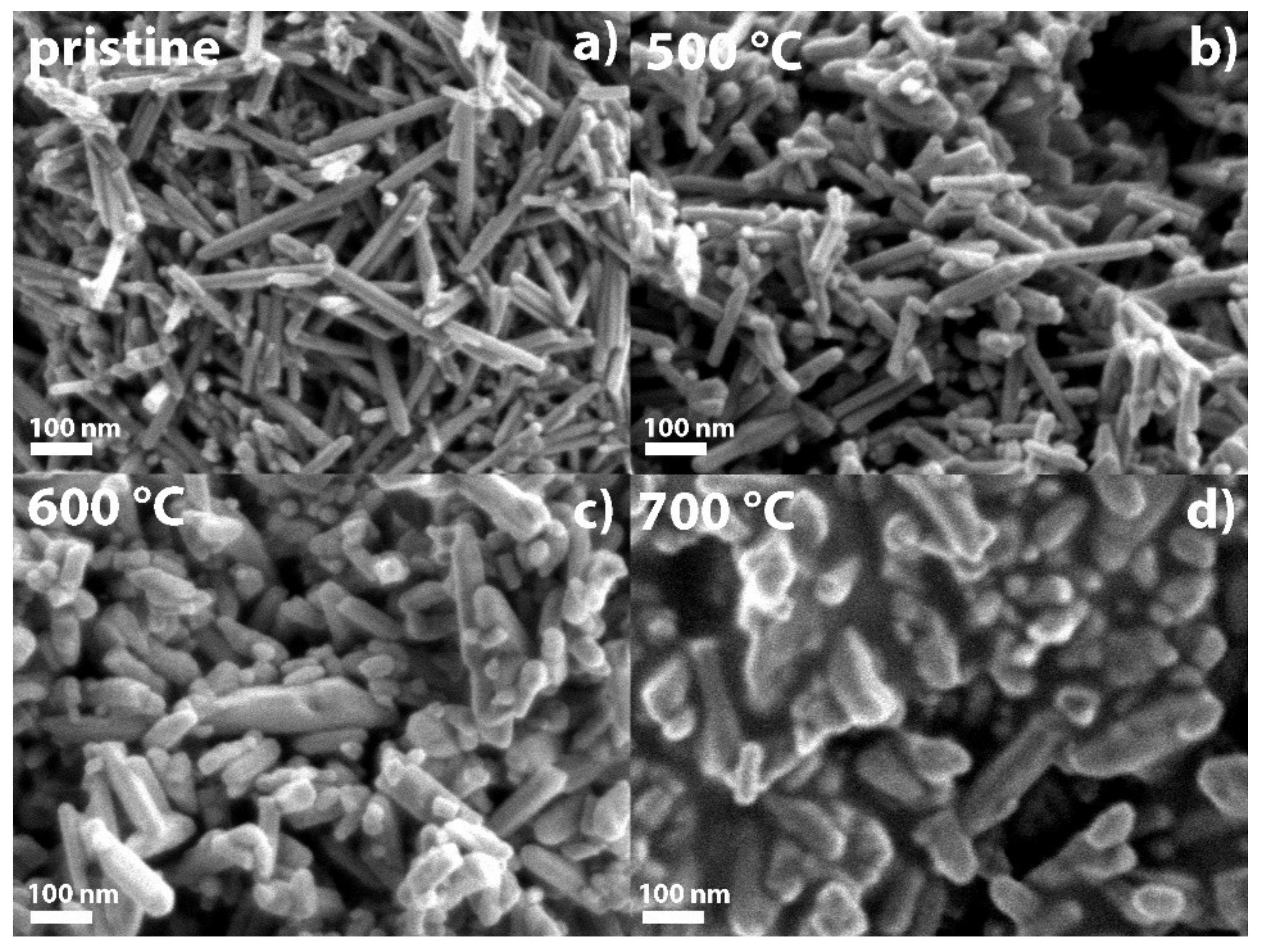 Catalysts 12 01533 g008
