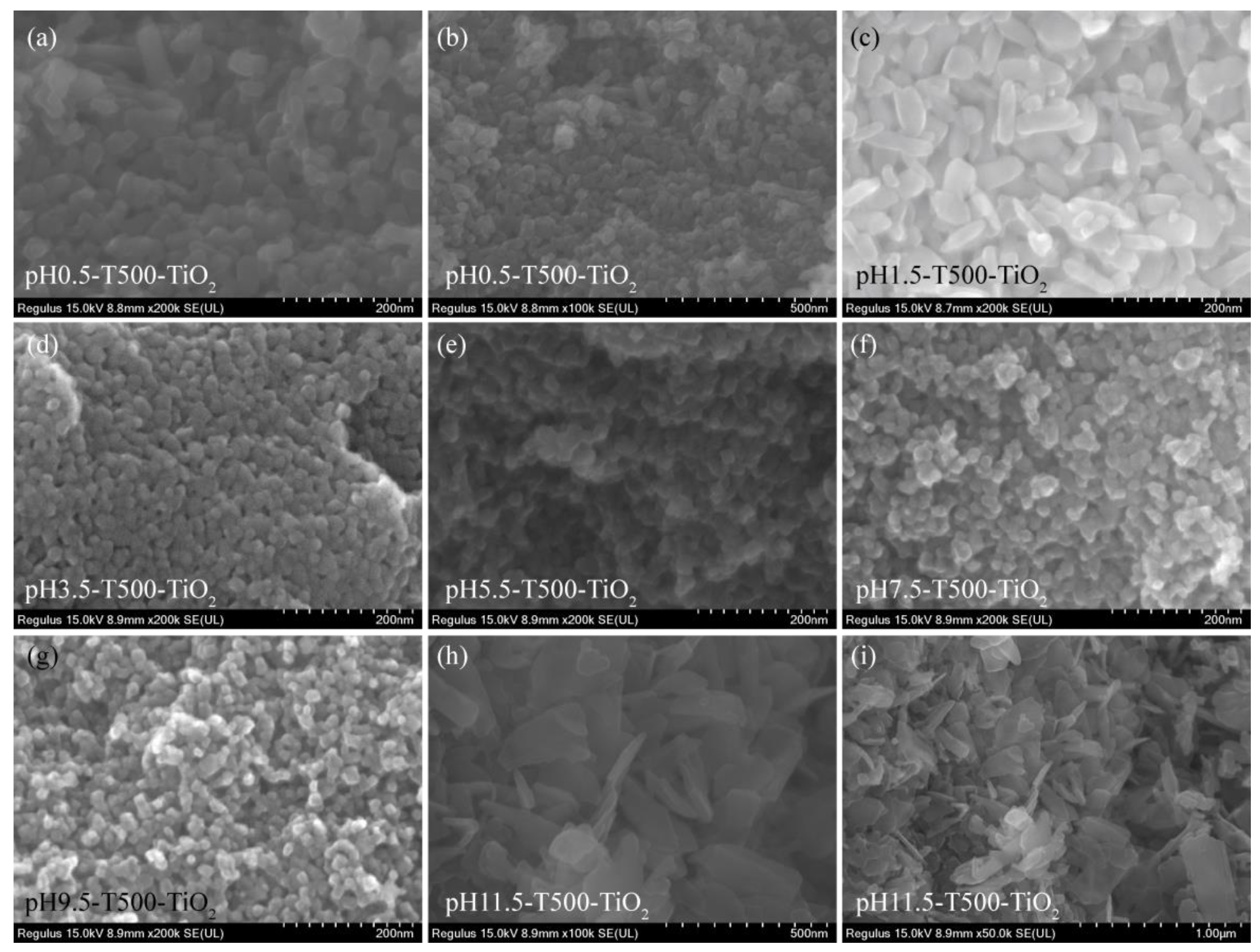 Catalysts 12 01534 g002 Catalysts 12 01534 g002