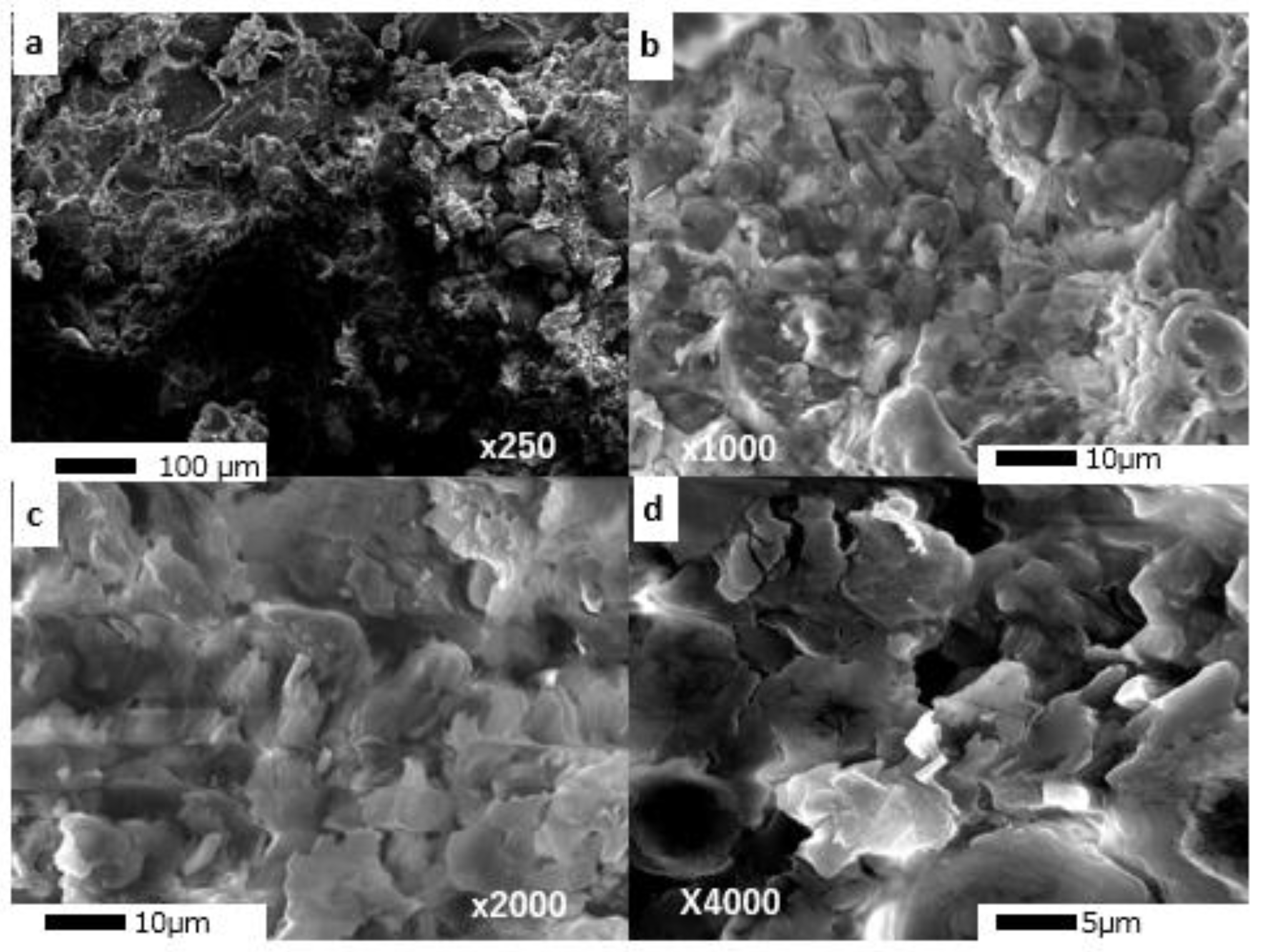 Catalysts 12 01535 g001 Catalysts 12 01535 g001