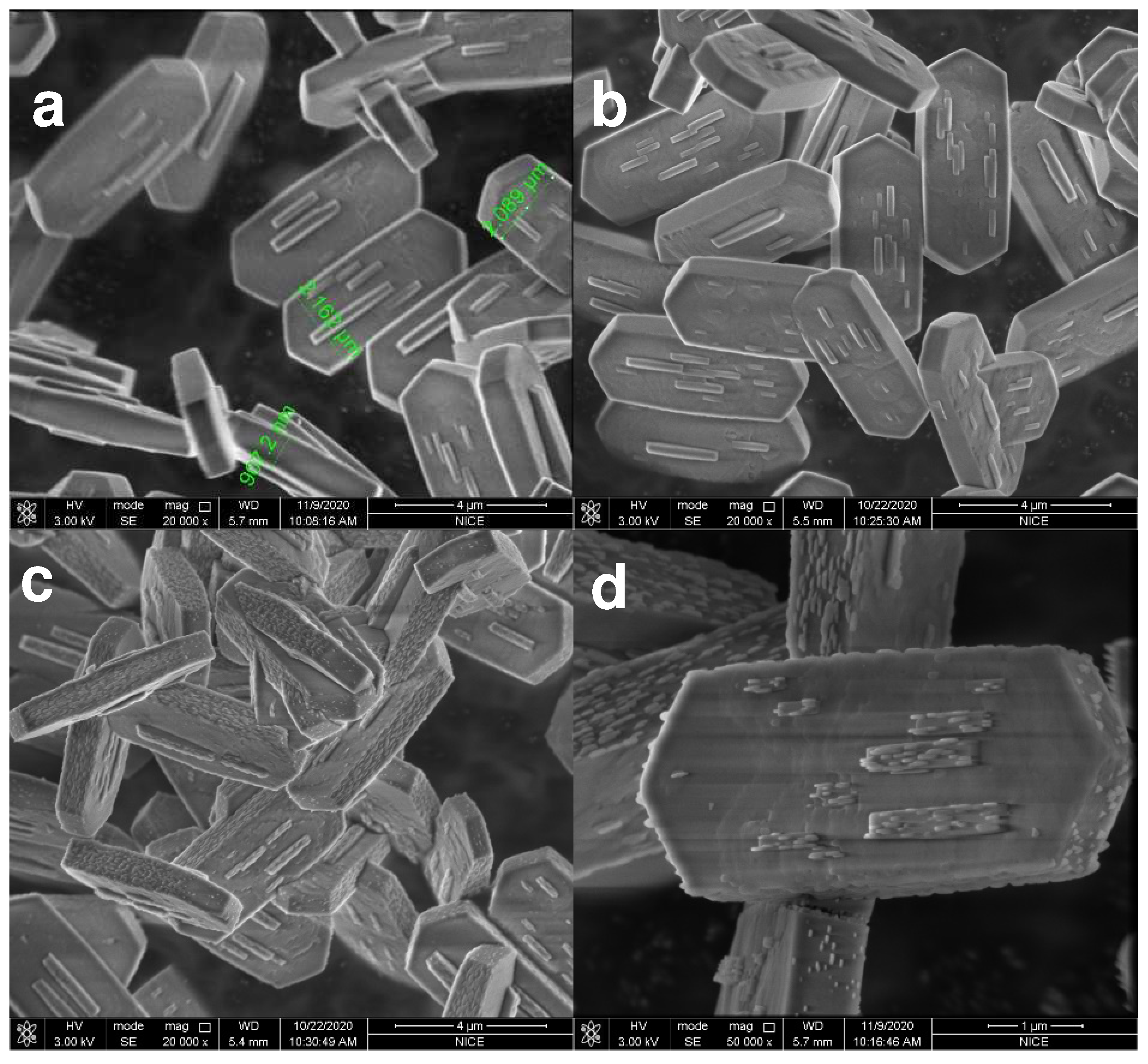 Catalysts 12 01538 g002