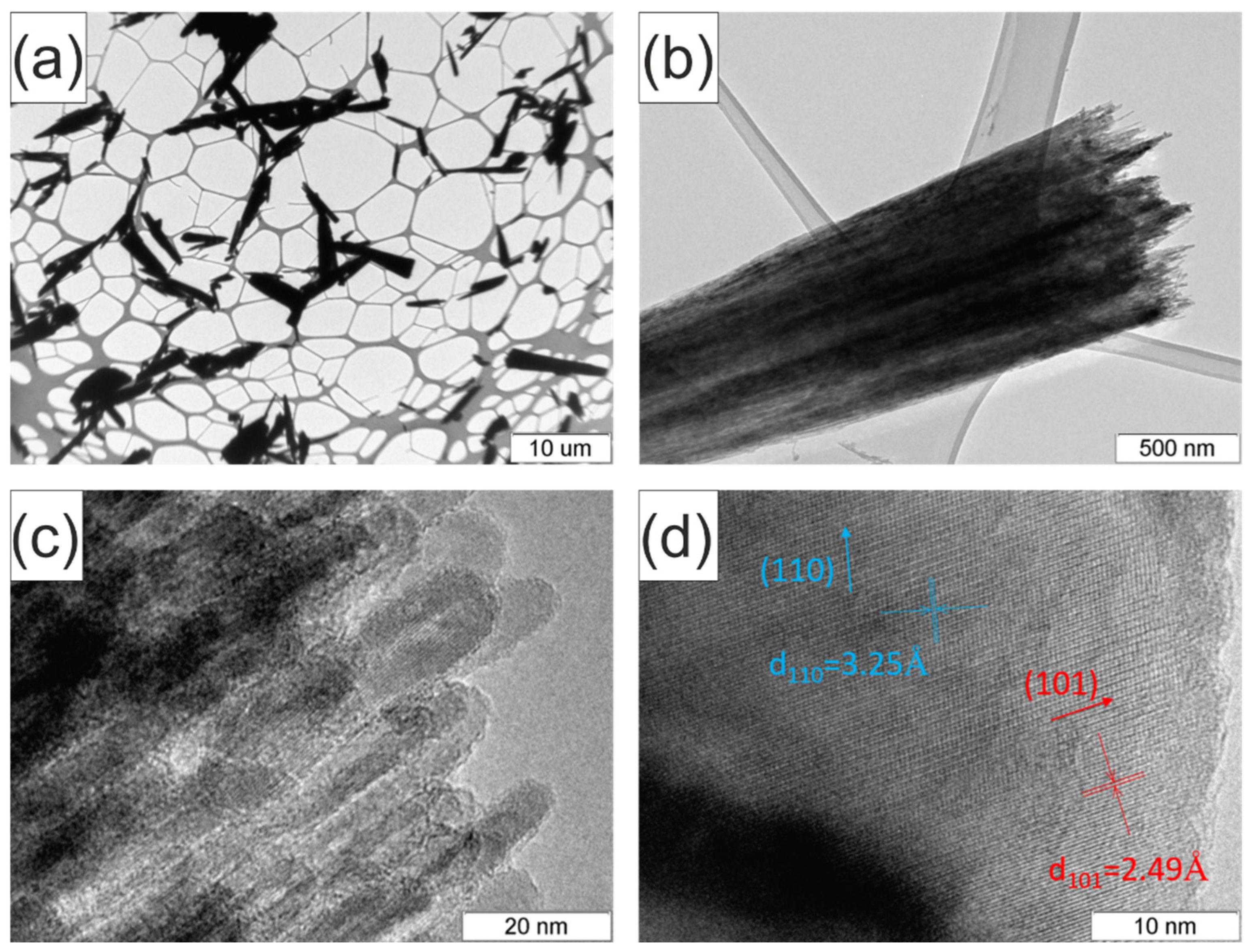 Catalysts 12 01546 g004 Catalysts 12 01546 g004