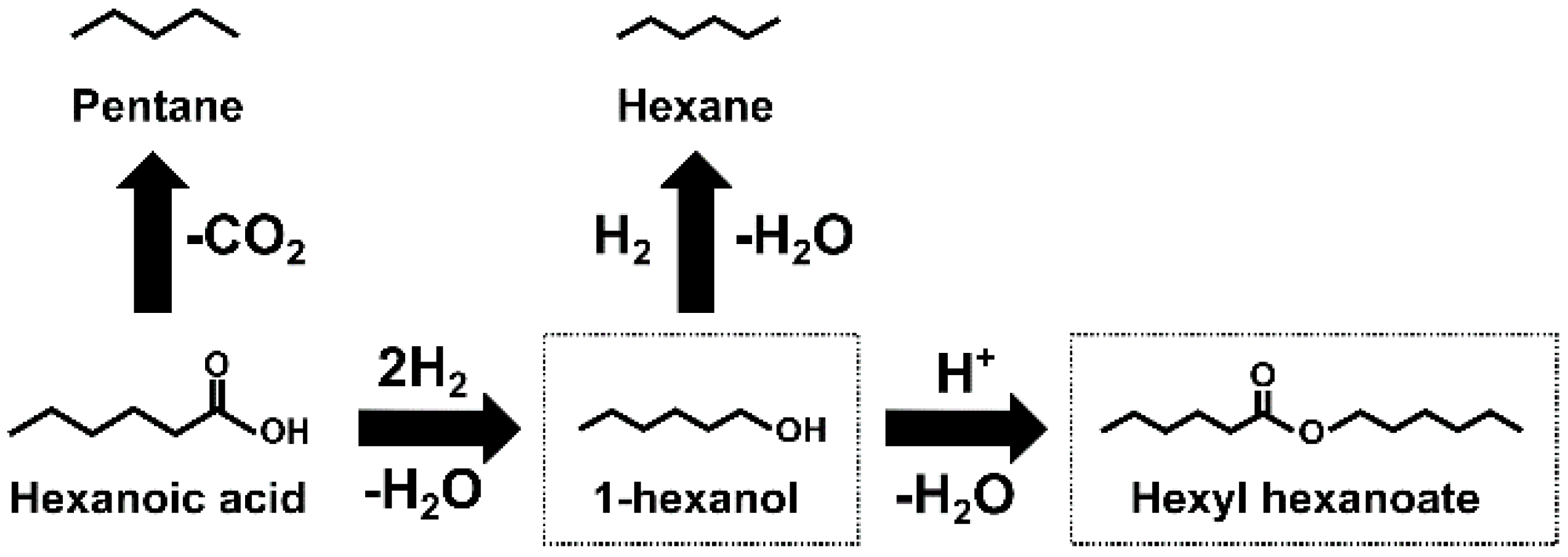 Catalysts Free FullText Tunable Production of Diesel Bio