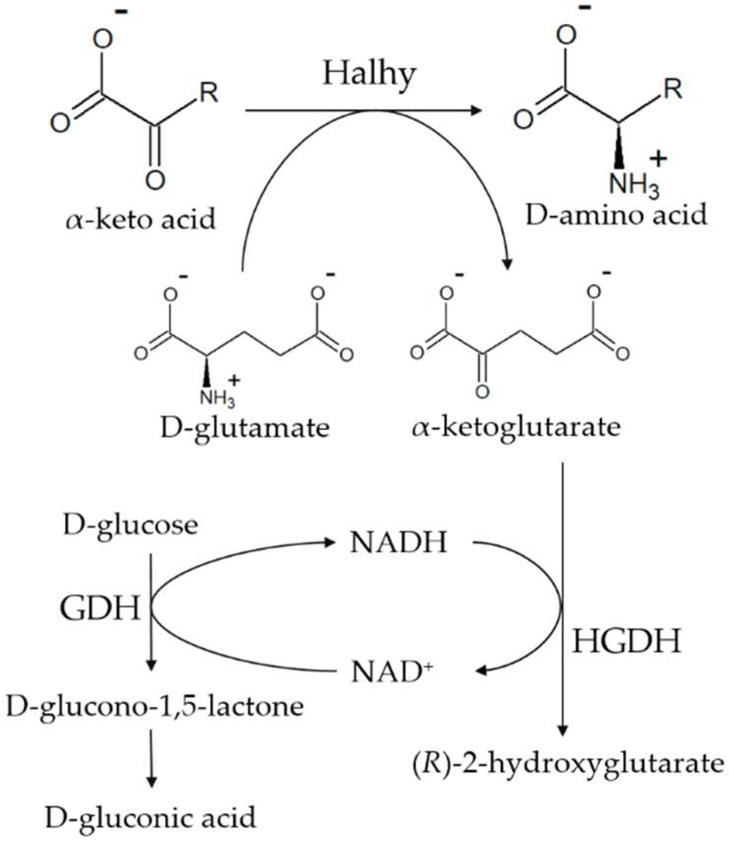 Catalysts 12 01551 sch003