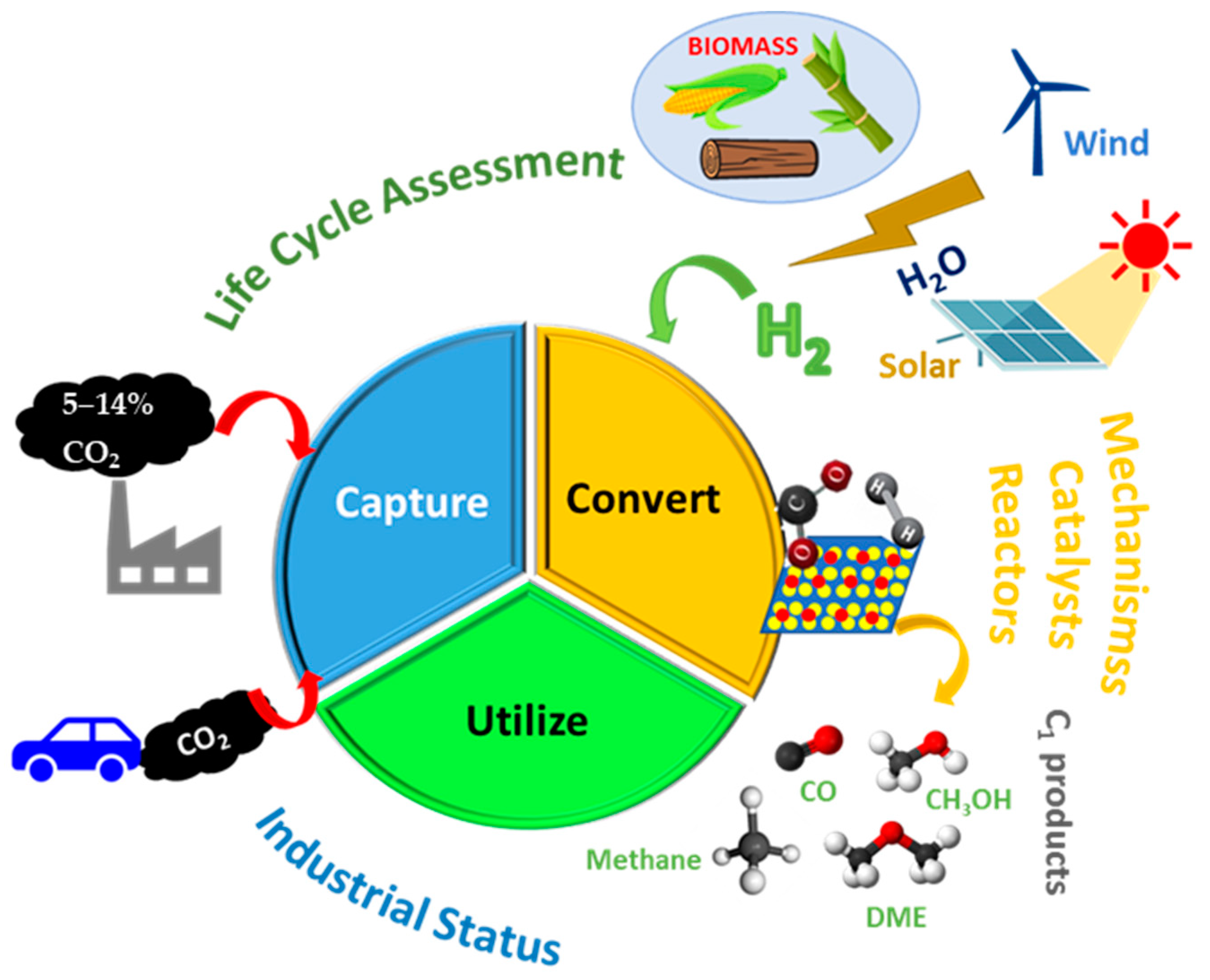 Catalysts 12 01555 g002