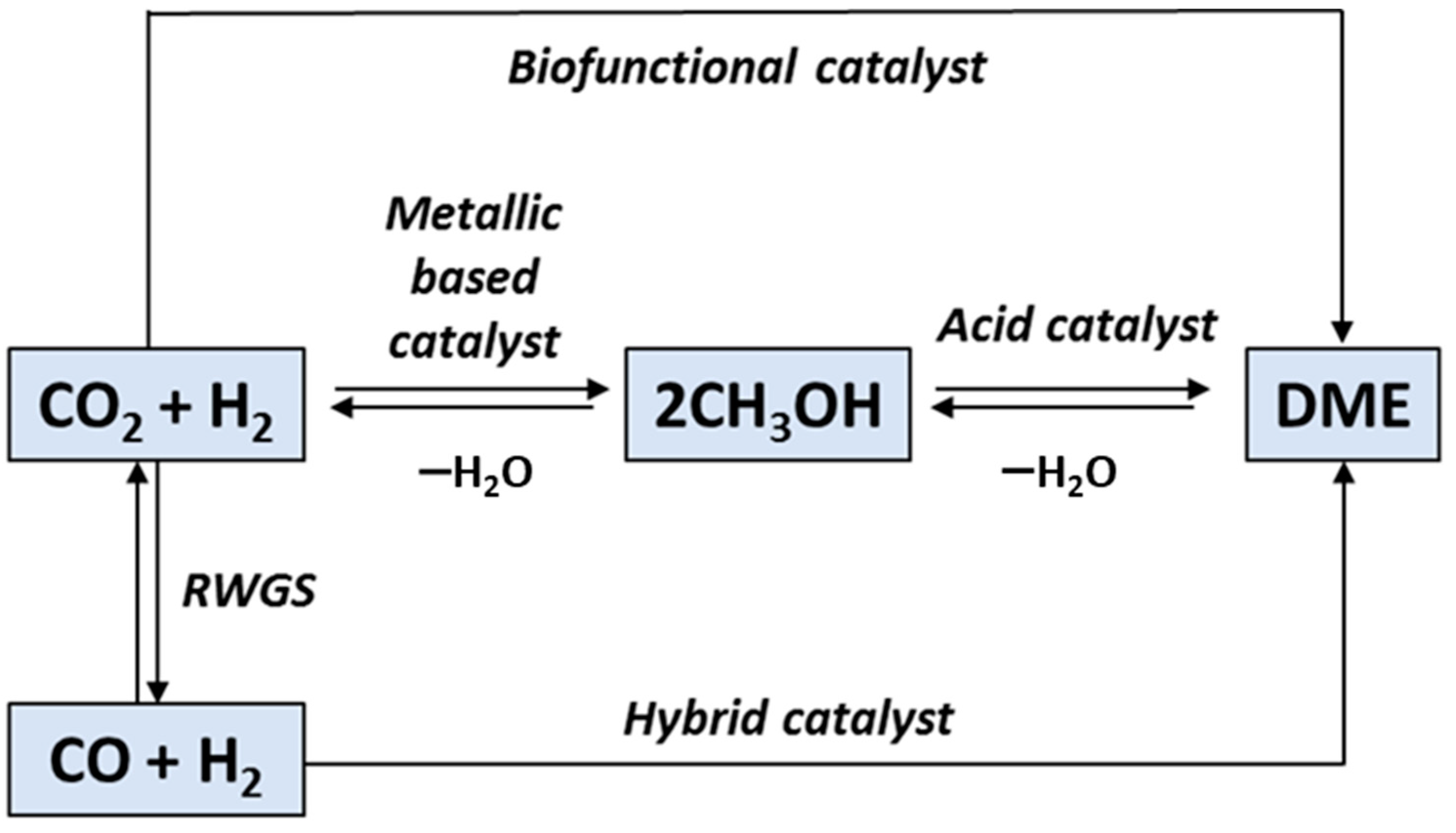 Catalysts 12 01555 g013
