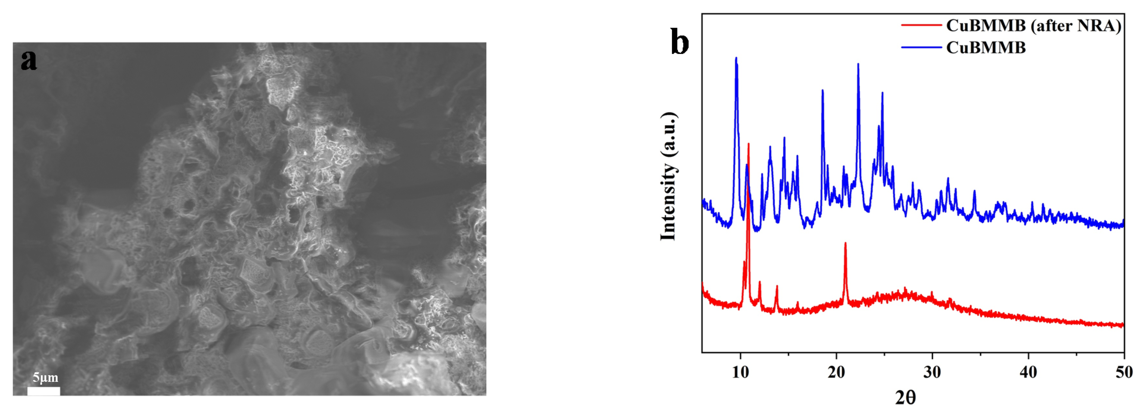 Catalysts 12 01561 g005a Catalysts 12 01561 g005a