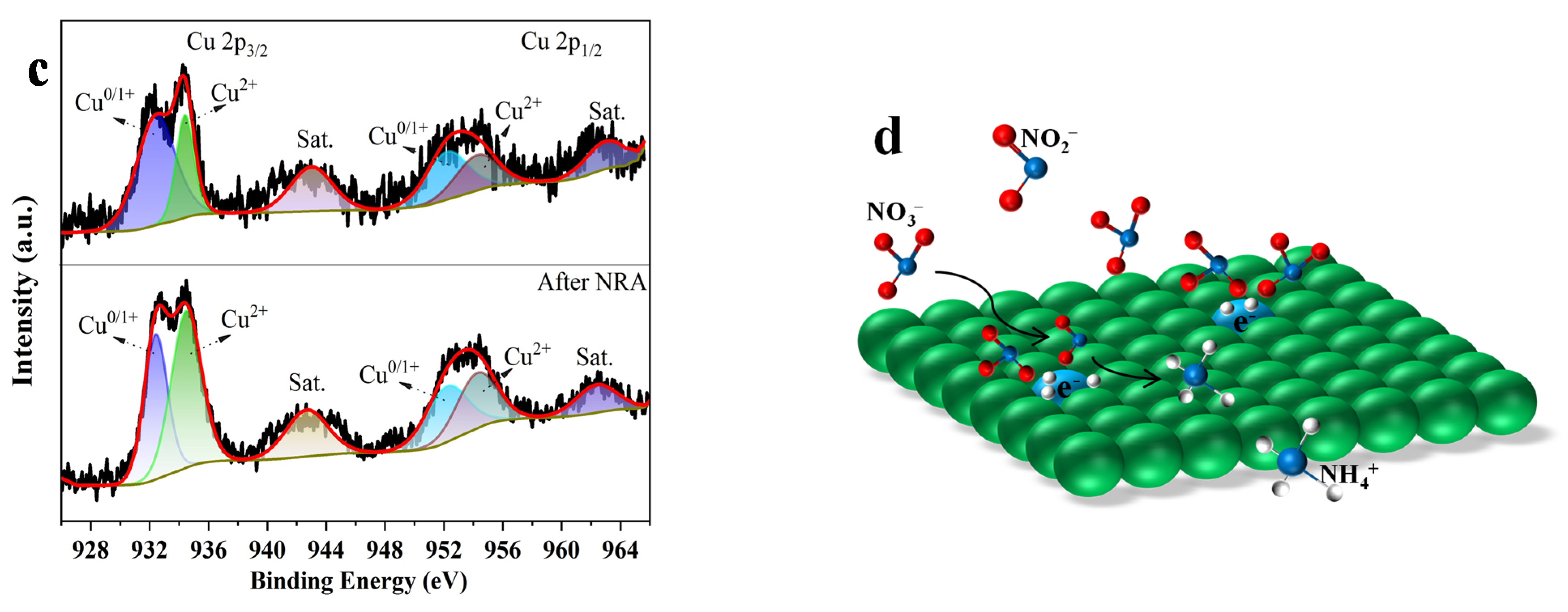 Catalysts 12 01561 g005b Catalysts 12 01561 g005b