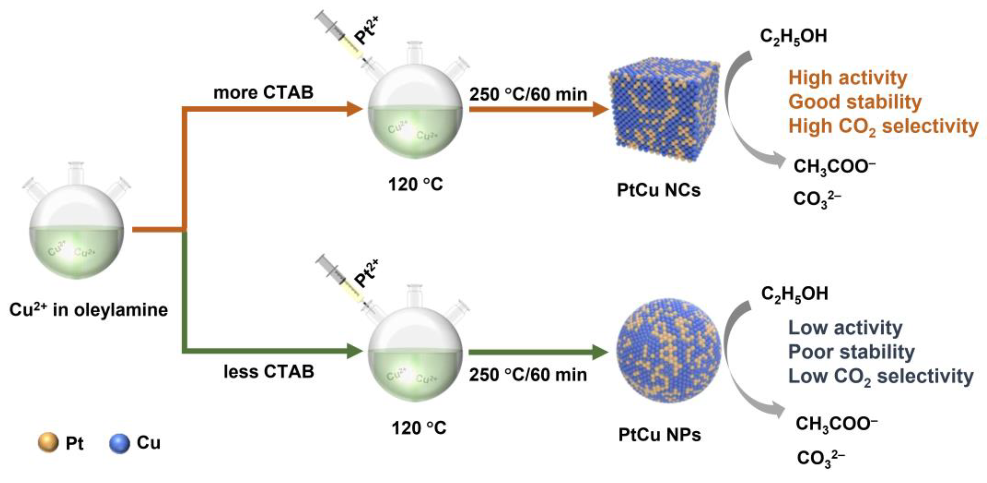 Catalysts 12 01562 g001