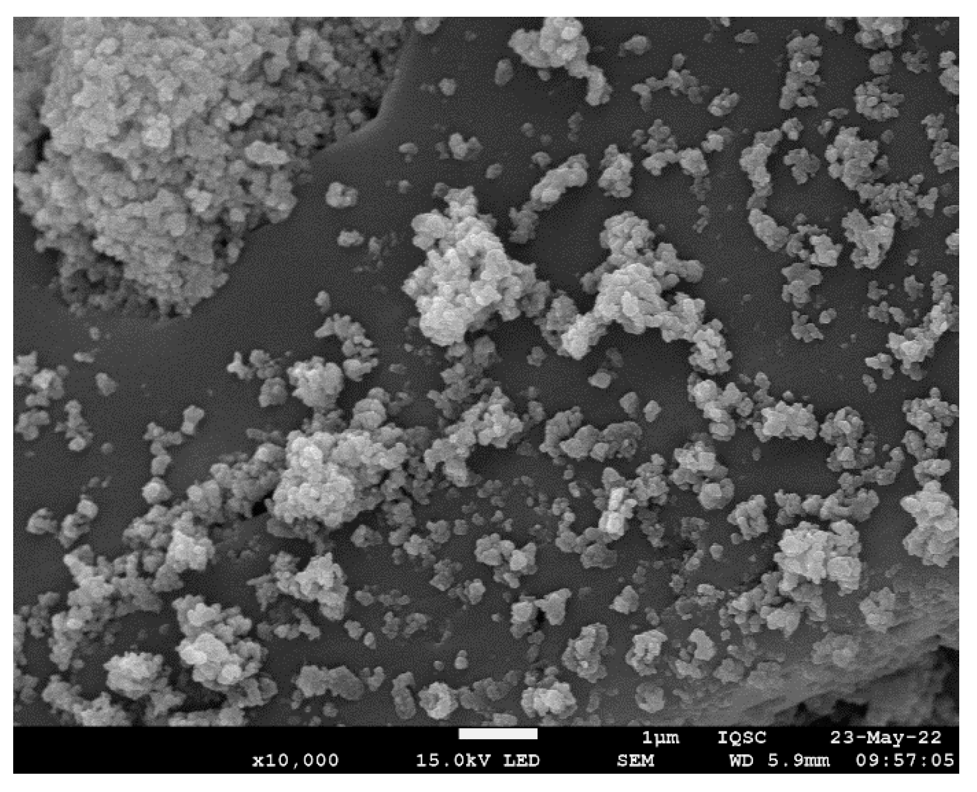 Catalysts 12 01565 g004 Catalysts 12 01565 g004