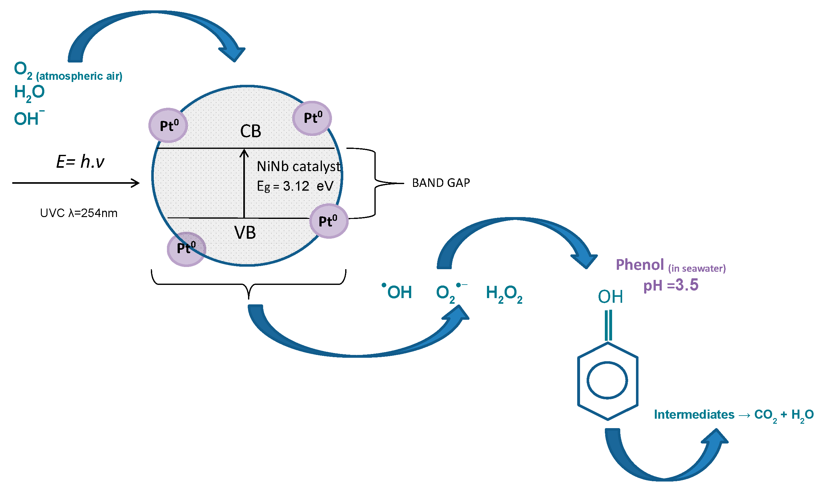 Catalysts 12 01565 g011 Catalysts 12 01565 g011