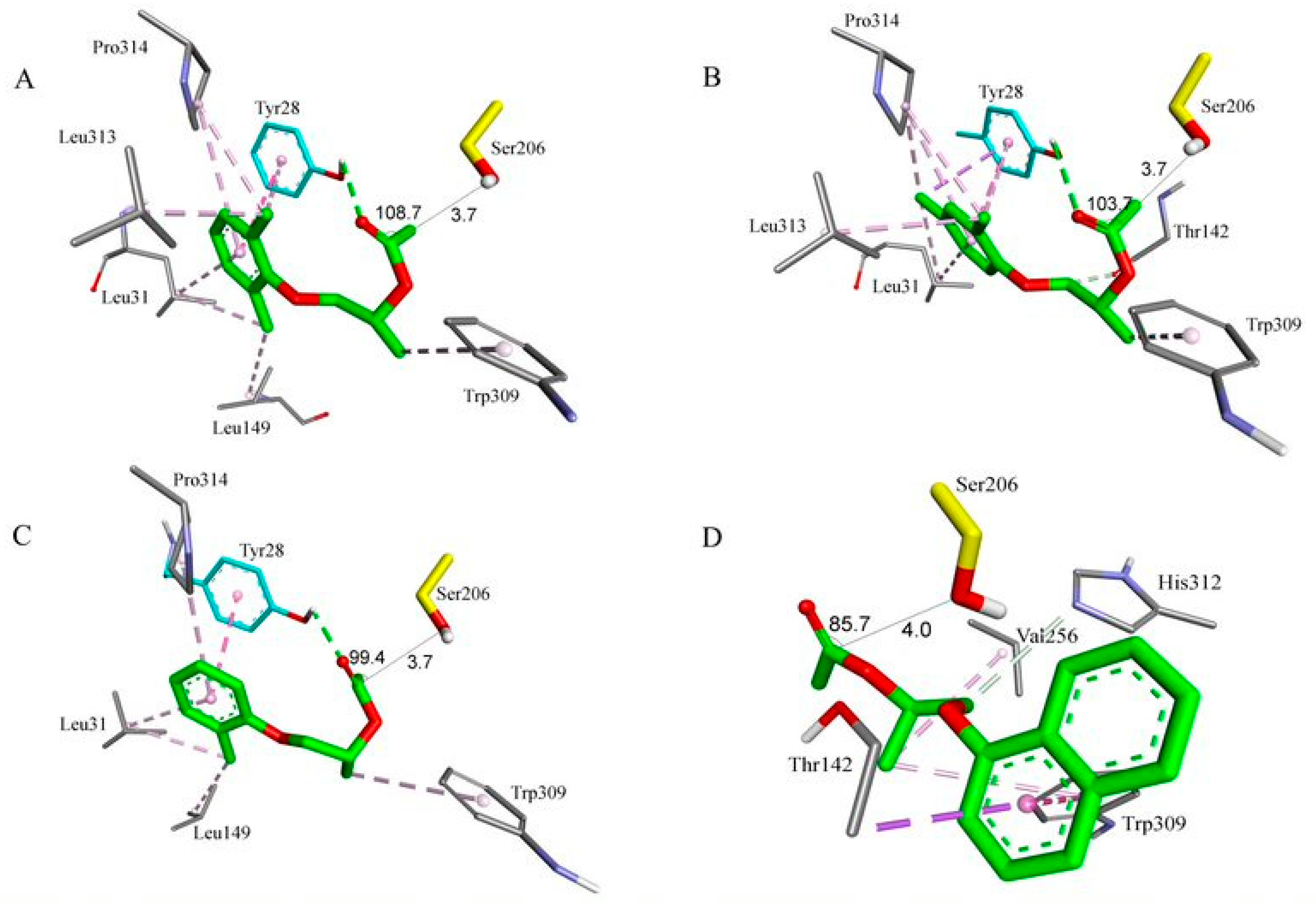Catalysts 12 01566 g004