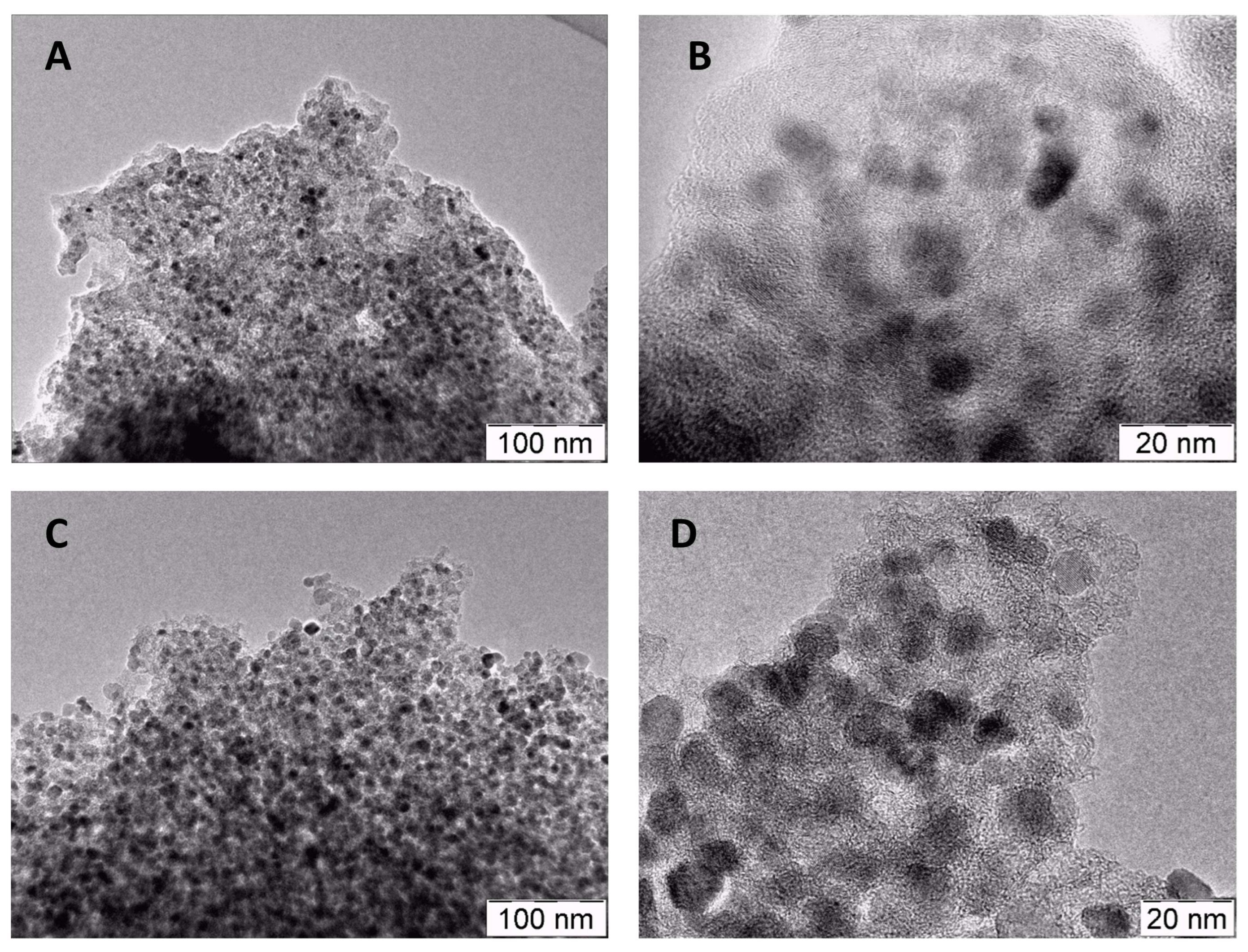 Catalysts 12 01571 g001