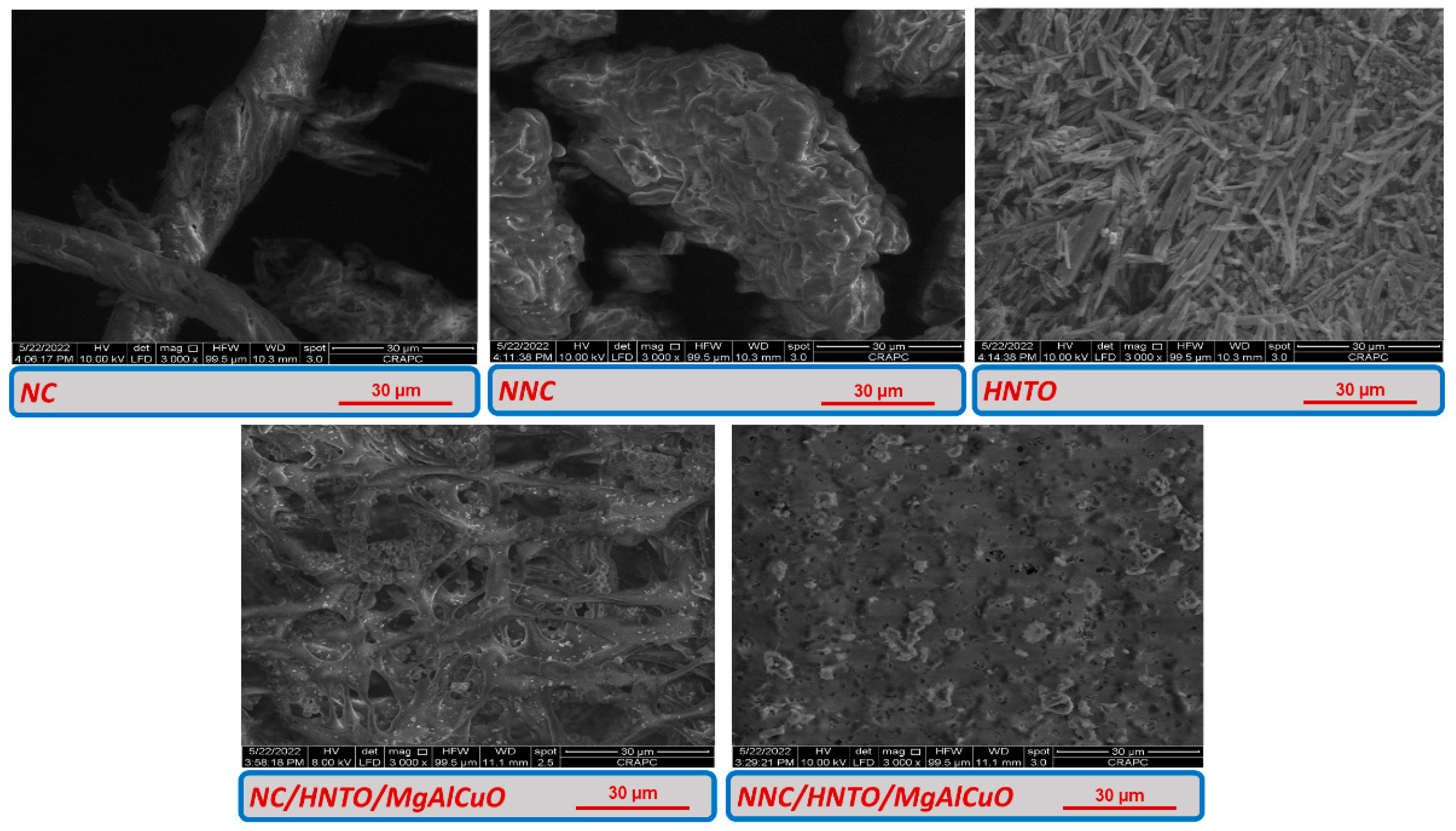 Catalysts 12 01573 g002