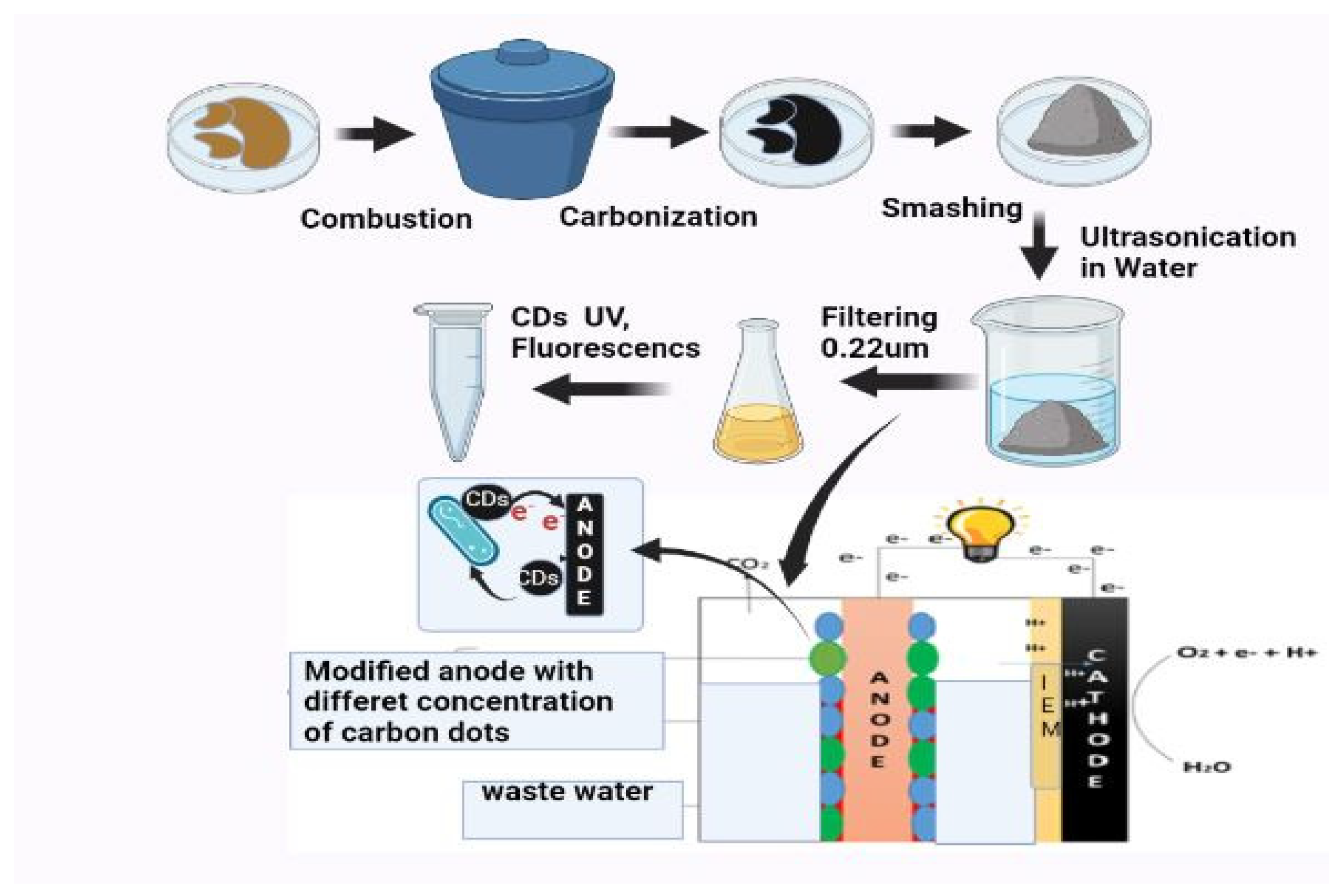 Catalysts 12 01580 g008