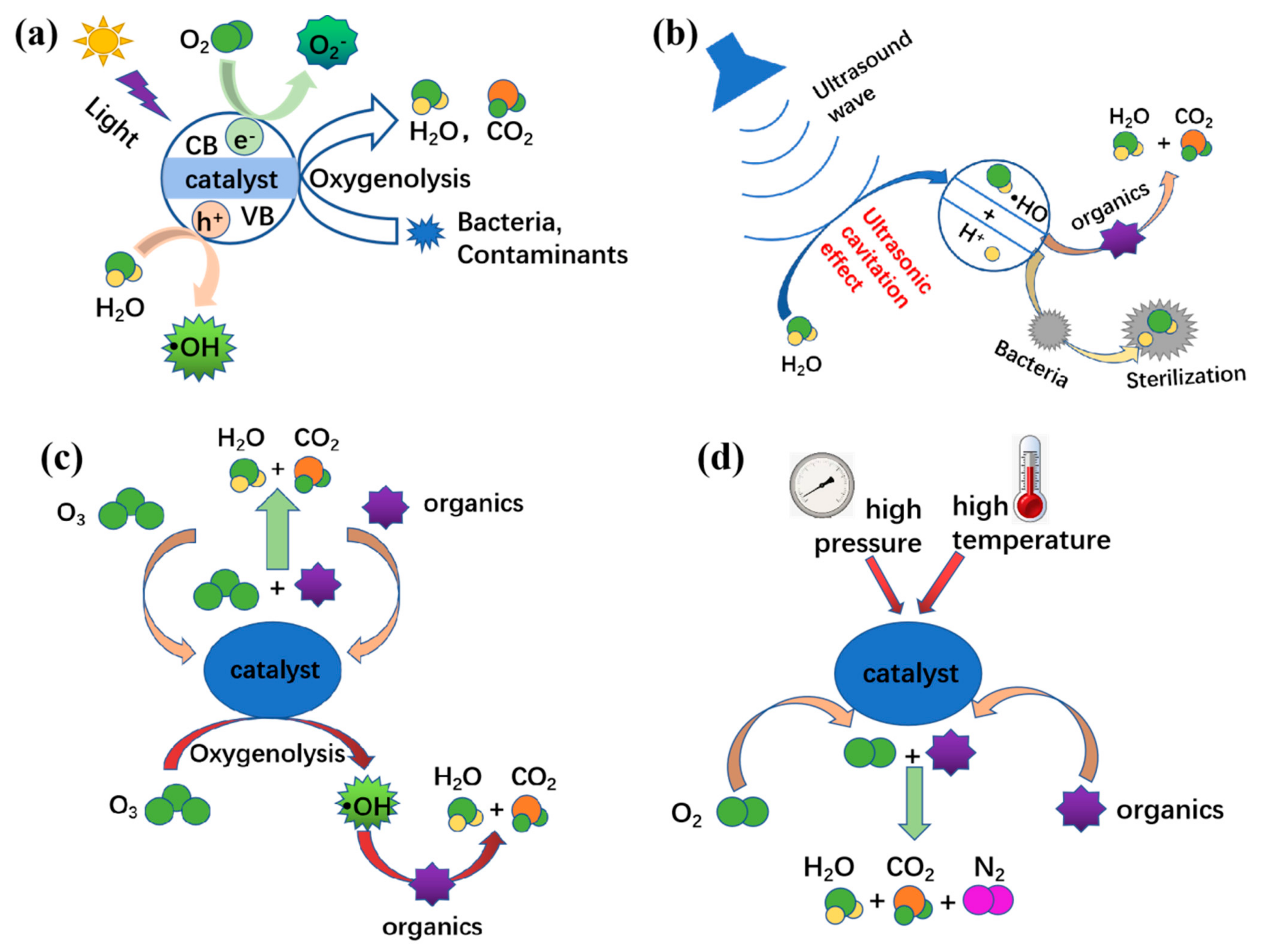 Catalysts 12 01581 g001 Catalysts 12 01581 g001