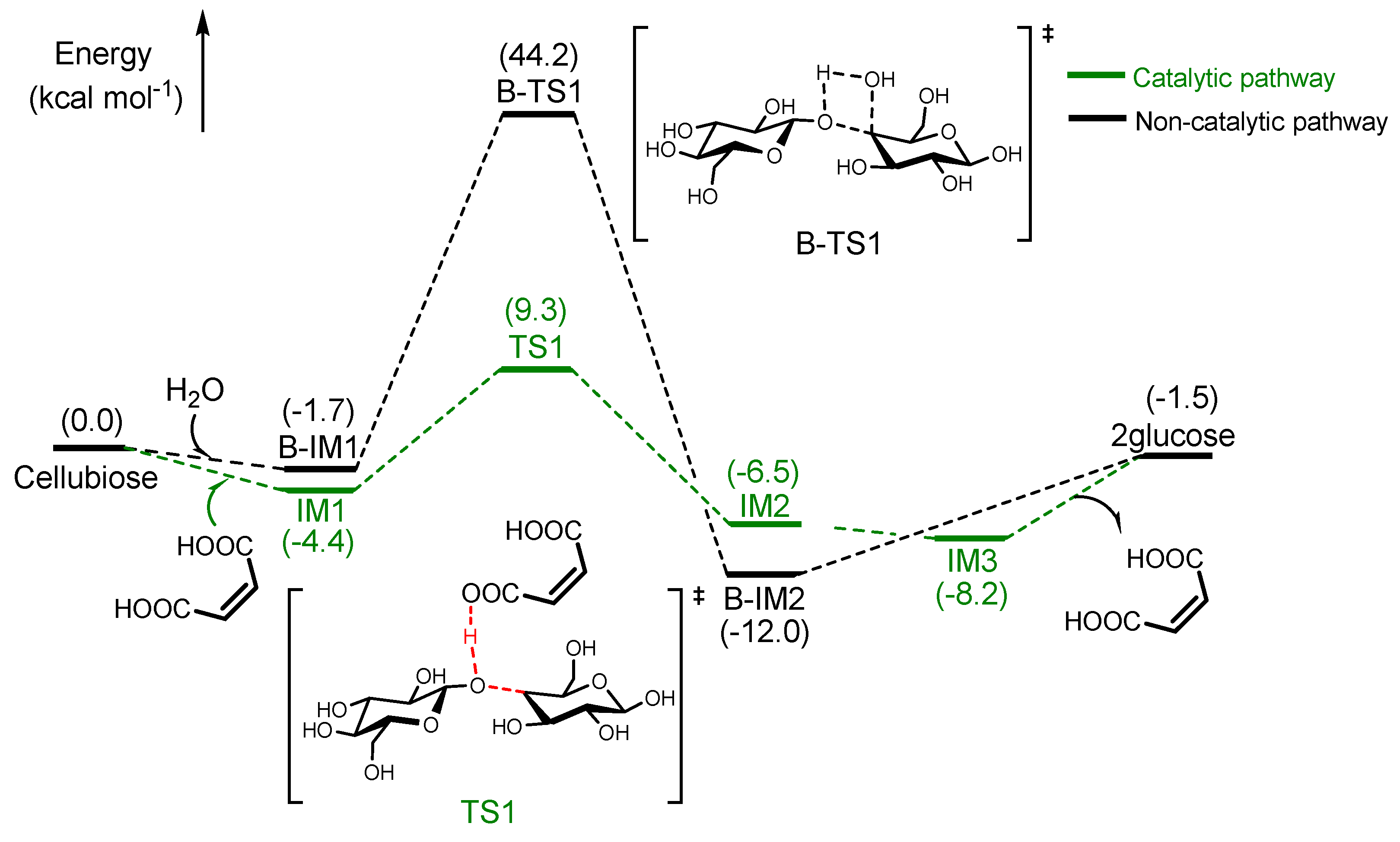 Catalysts 12 01603 g005