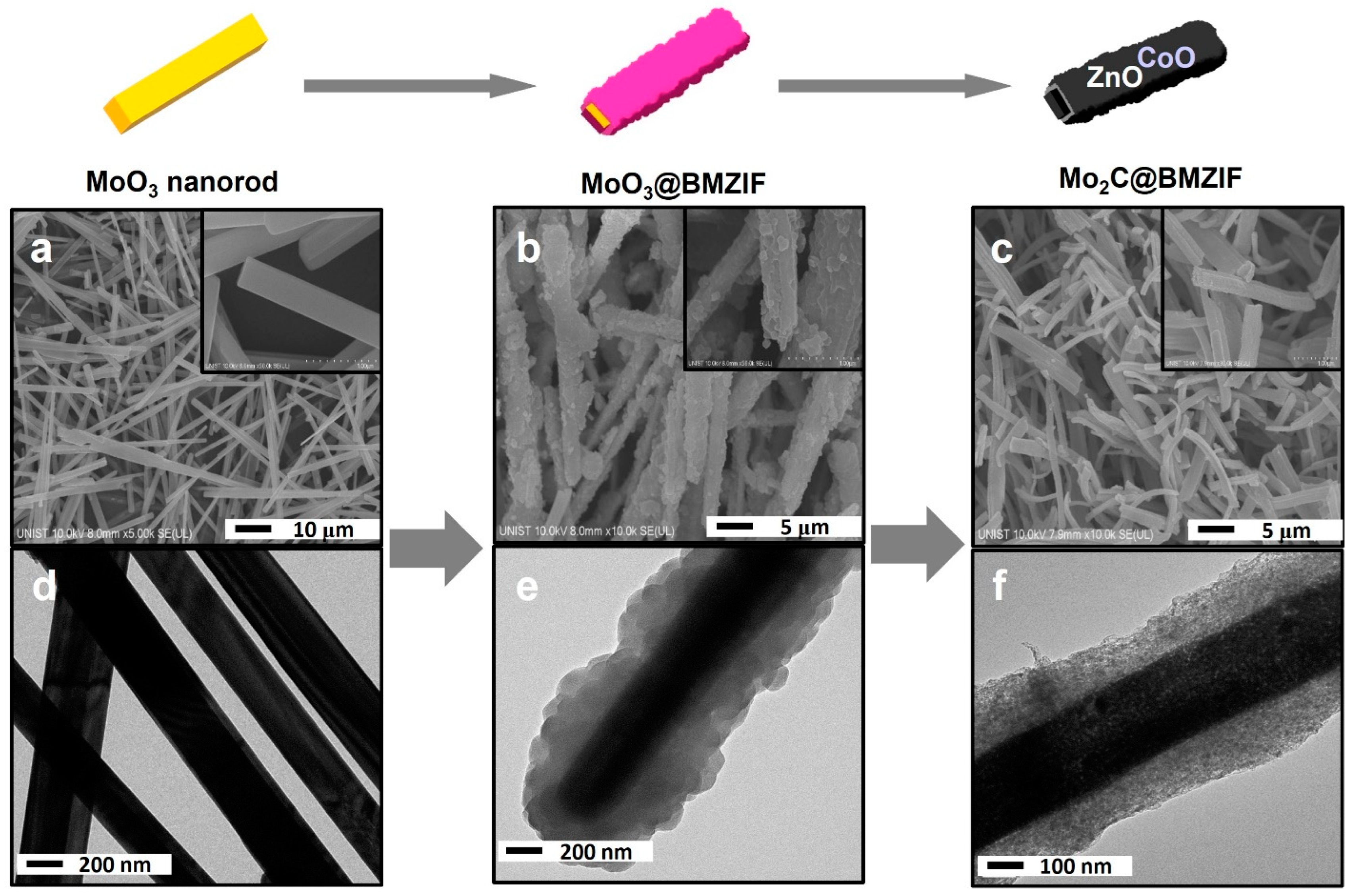 Catalysts 12 01605 g001