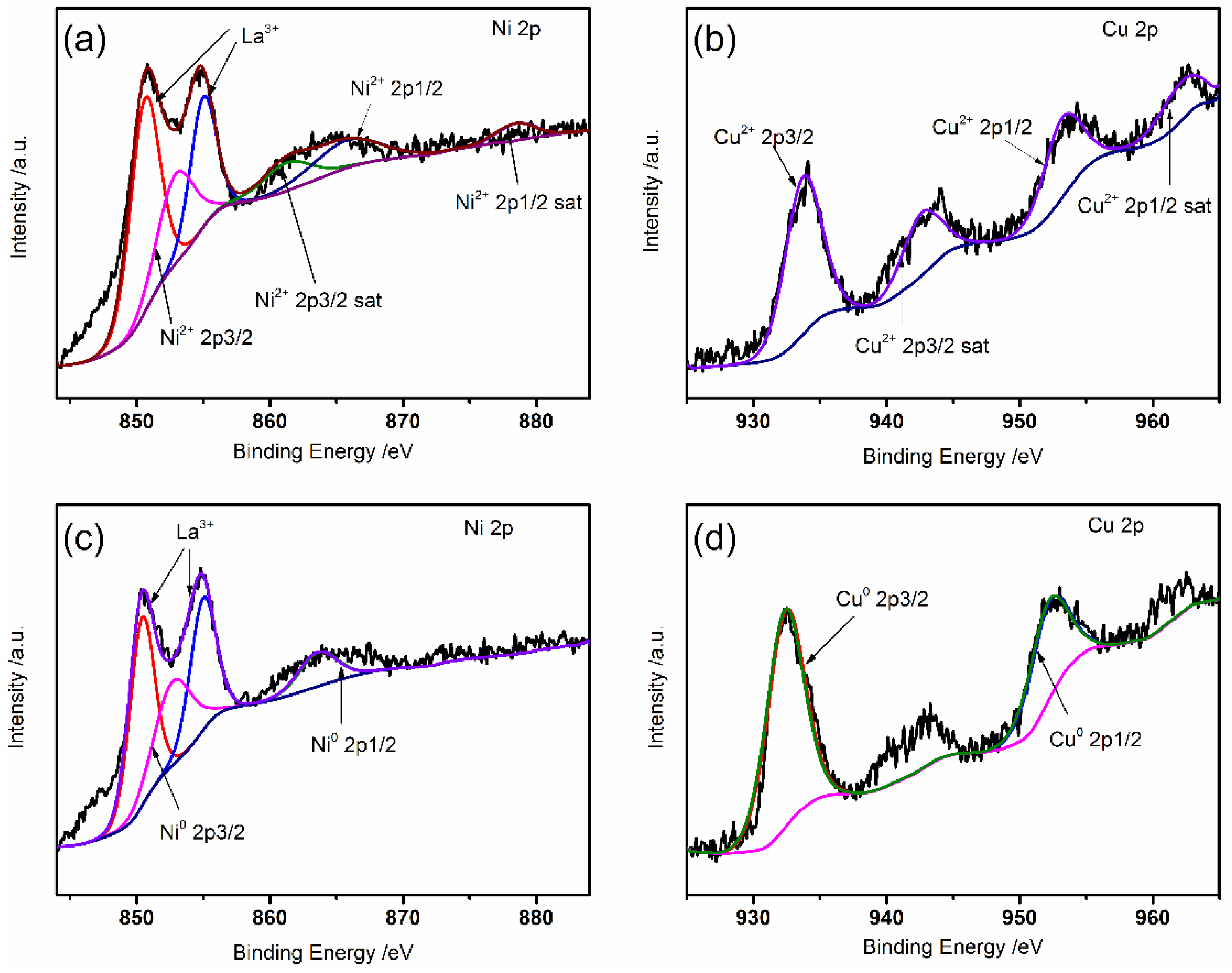 Catalysts 12 01607 g002 Catalysts 12 01607 g002