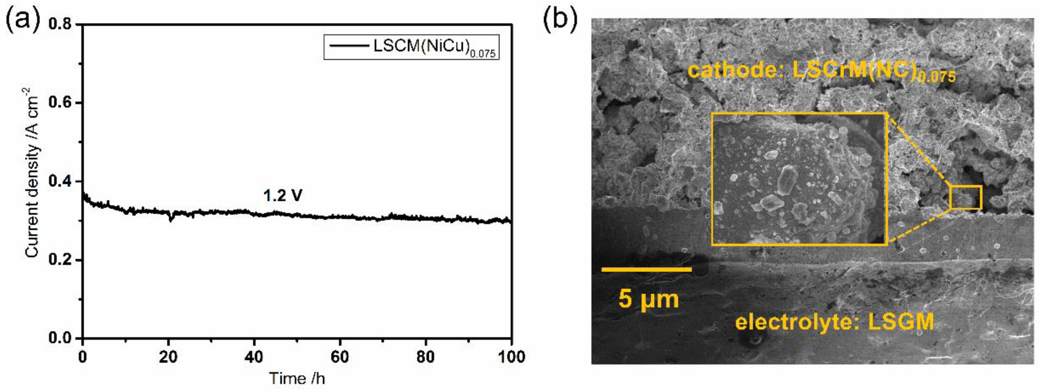 Catalysts 12 01607 g007 Catalysts 12 01607 g007
