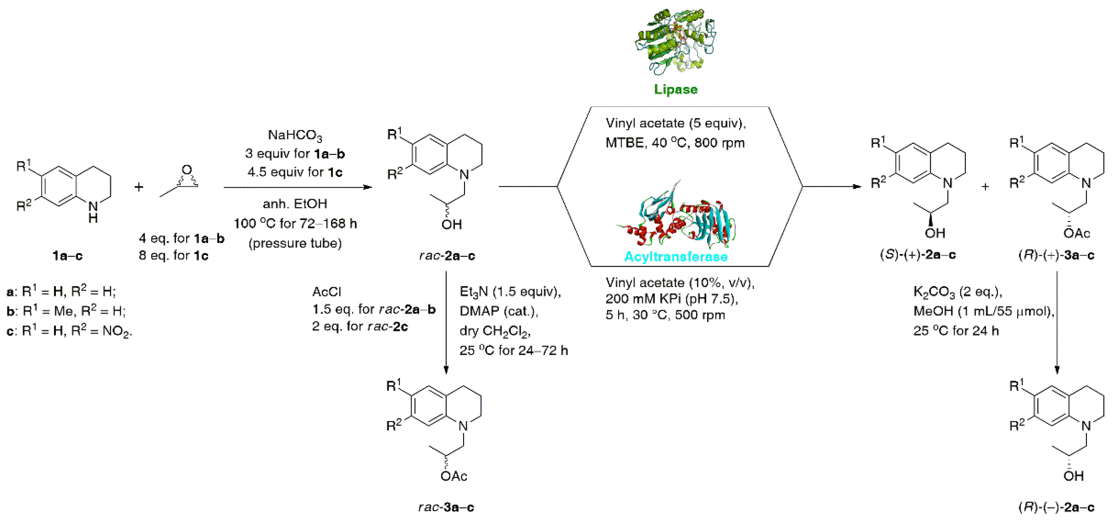 Catalysts 12 01610 sch001