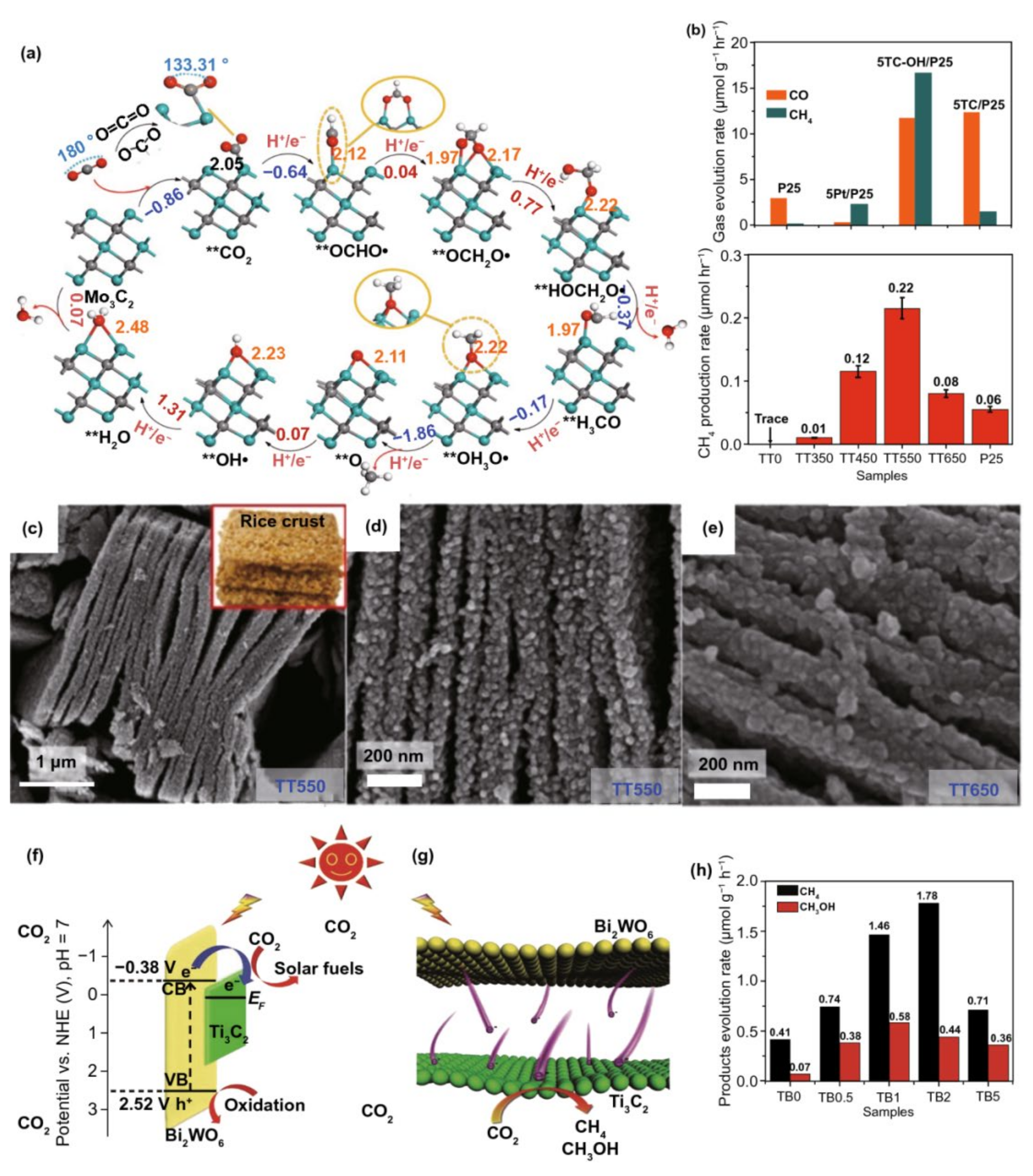 Catalysts 12 01613 g008