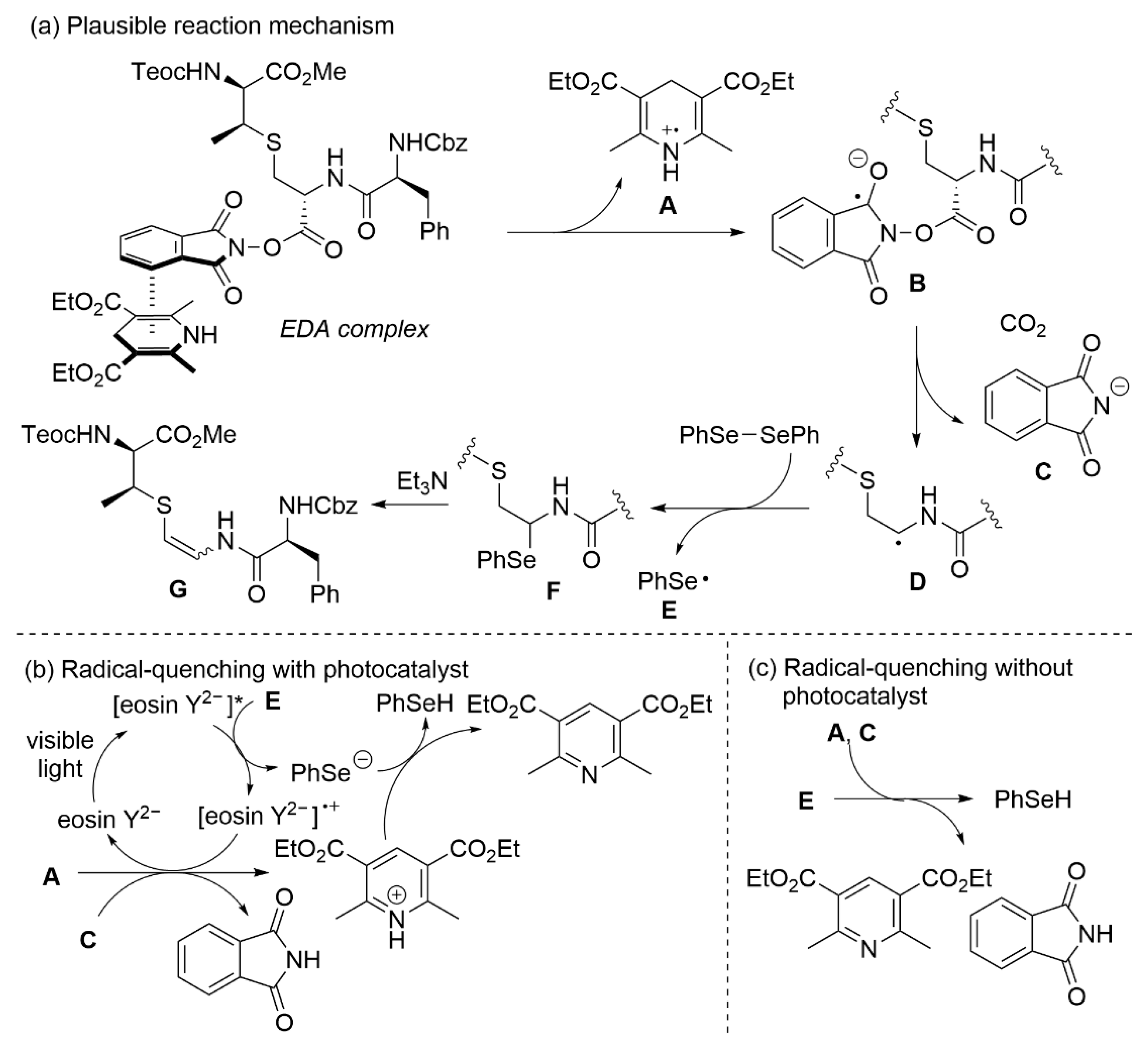 Catalysts 12 01615 sch005