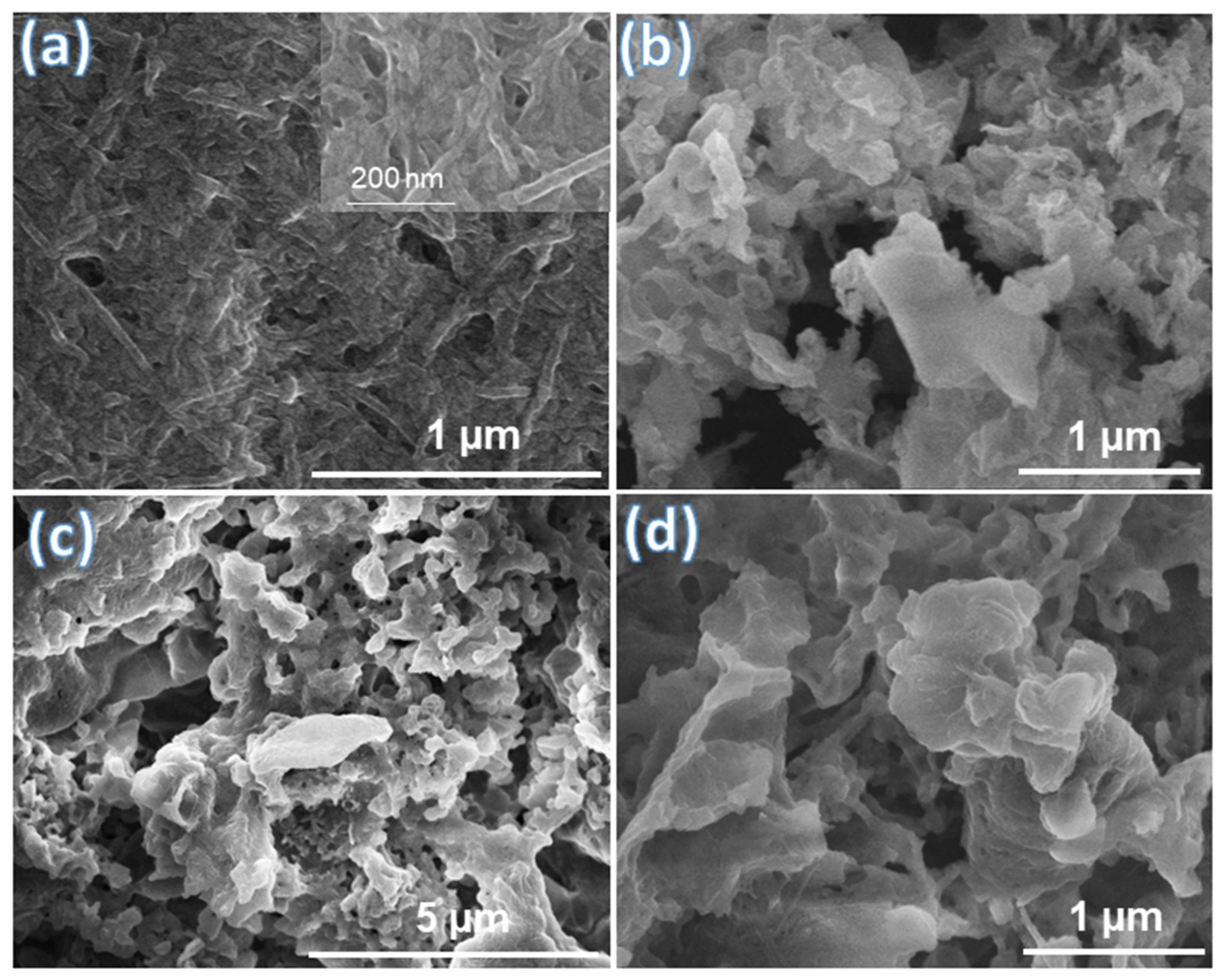 Catalysts 12 01630 g002 Catalysts 12 01630 g002