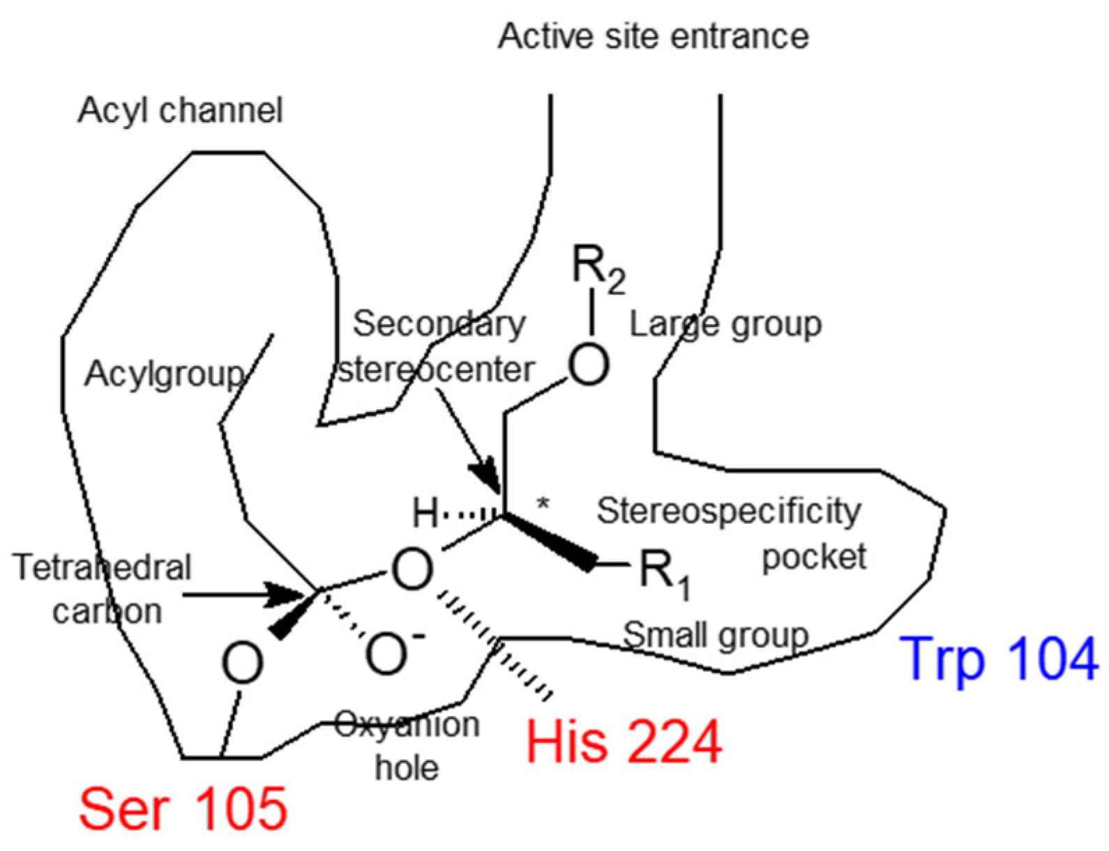 Catalysts 12 01645 g002 Catalysts 12 01645 g002