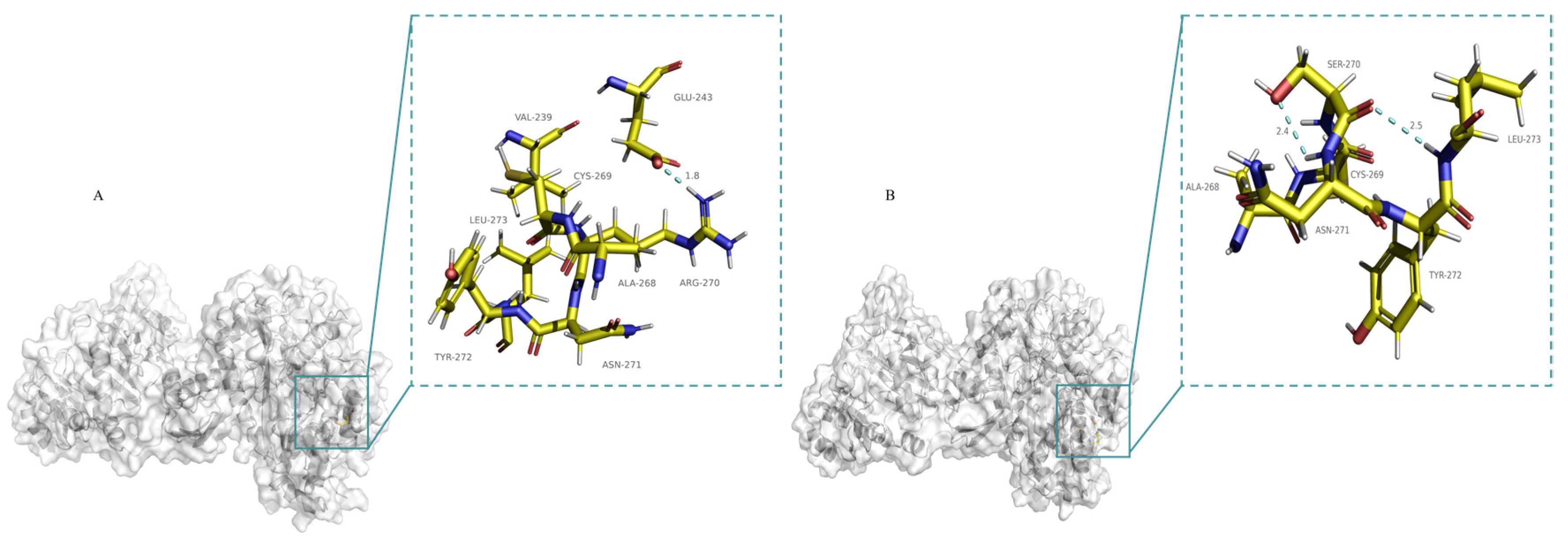 Catalysts 12 01649 g007 Catalysts 12 01649 g007