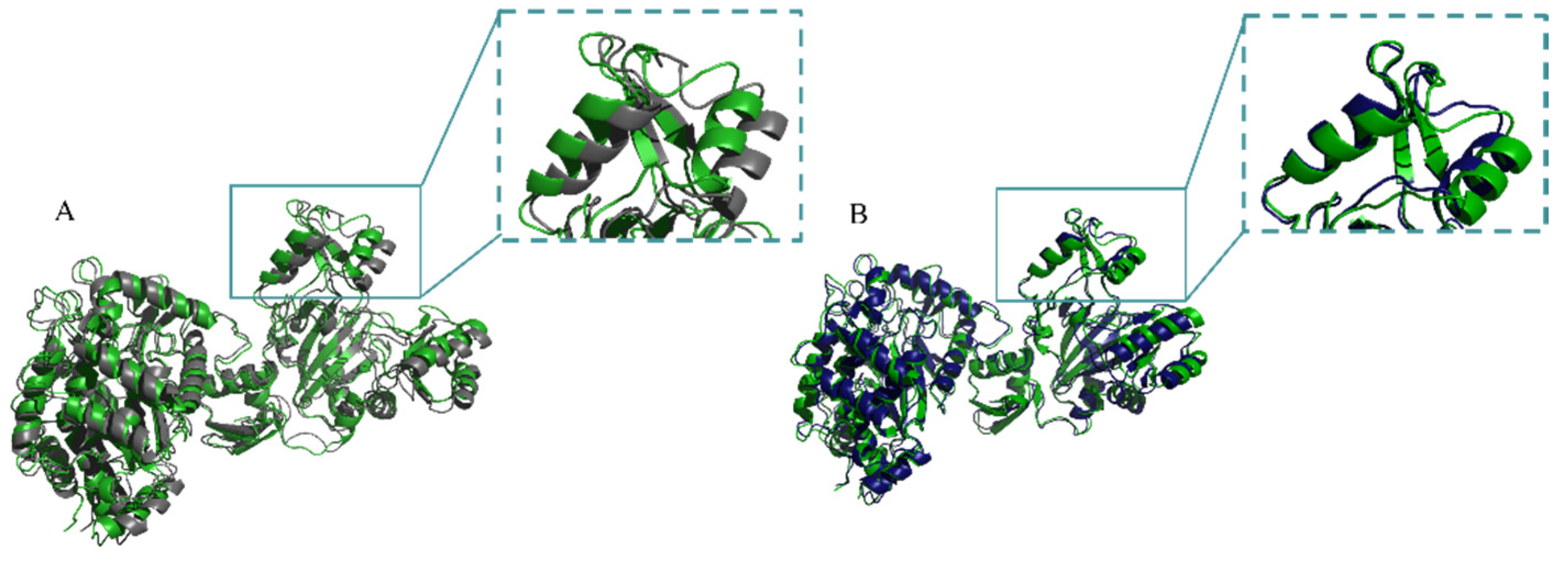 Catalysts 12 01649 g008 Catalysts 12 01649 g008