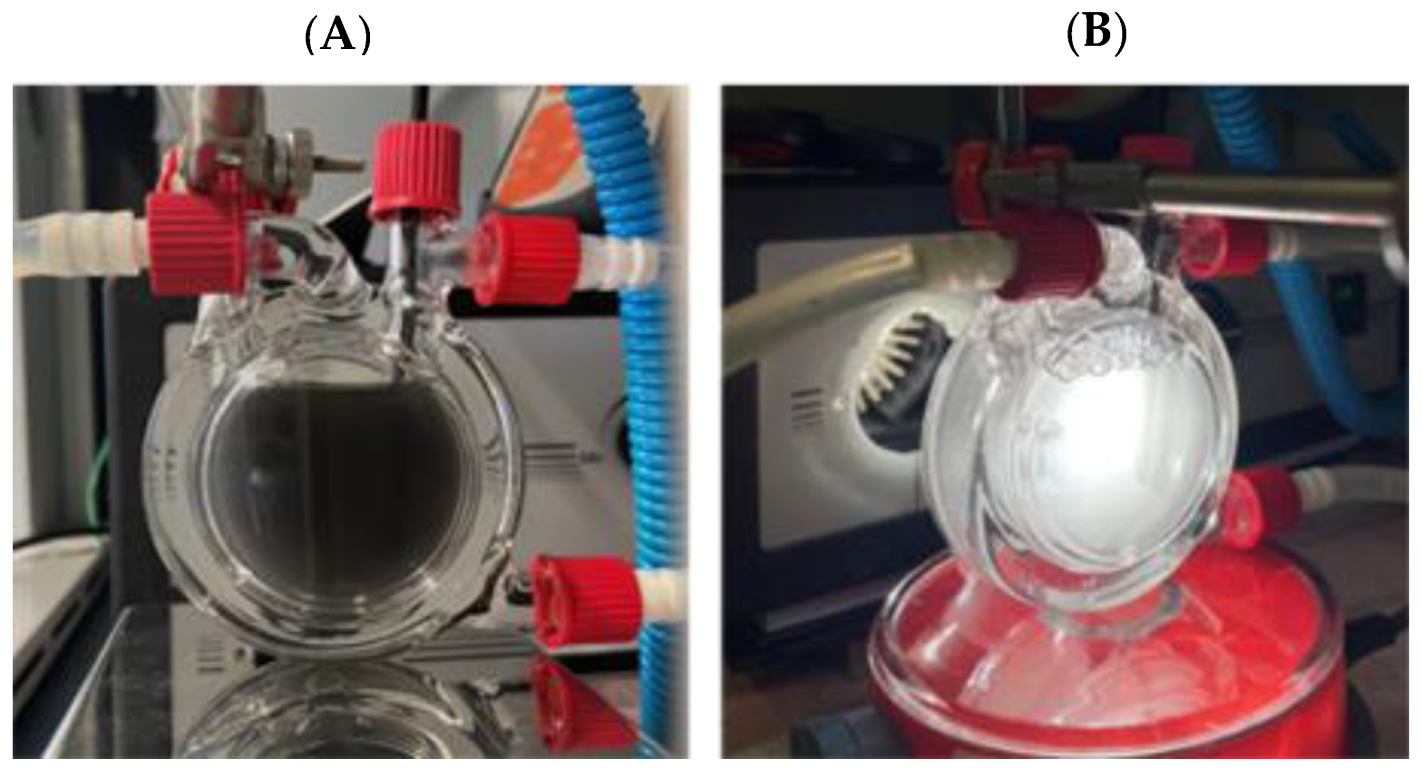 Catalysts 12 01662 g005 Catalysts 12 01662 g005