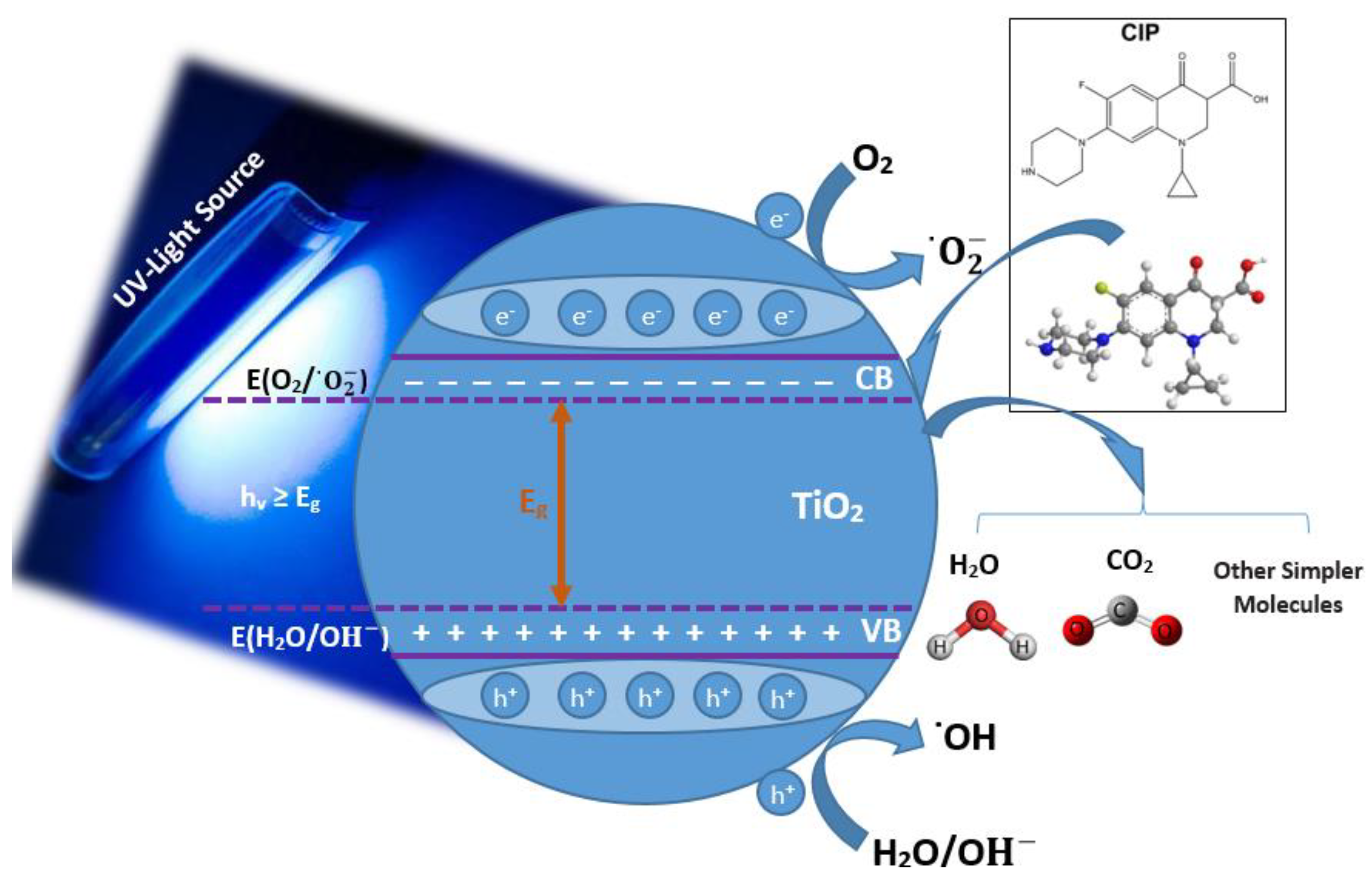Catalysts 12 01663 g011