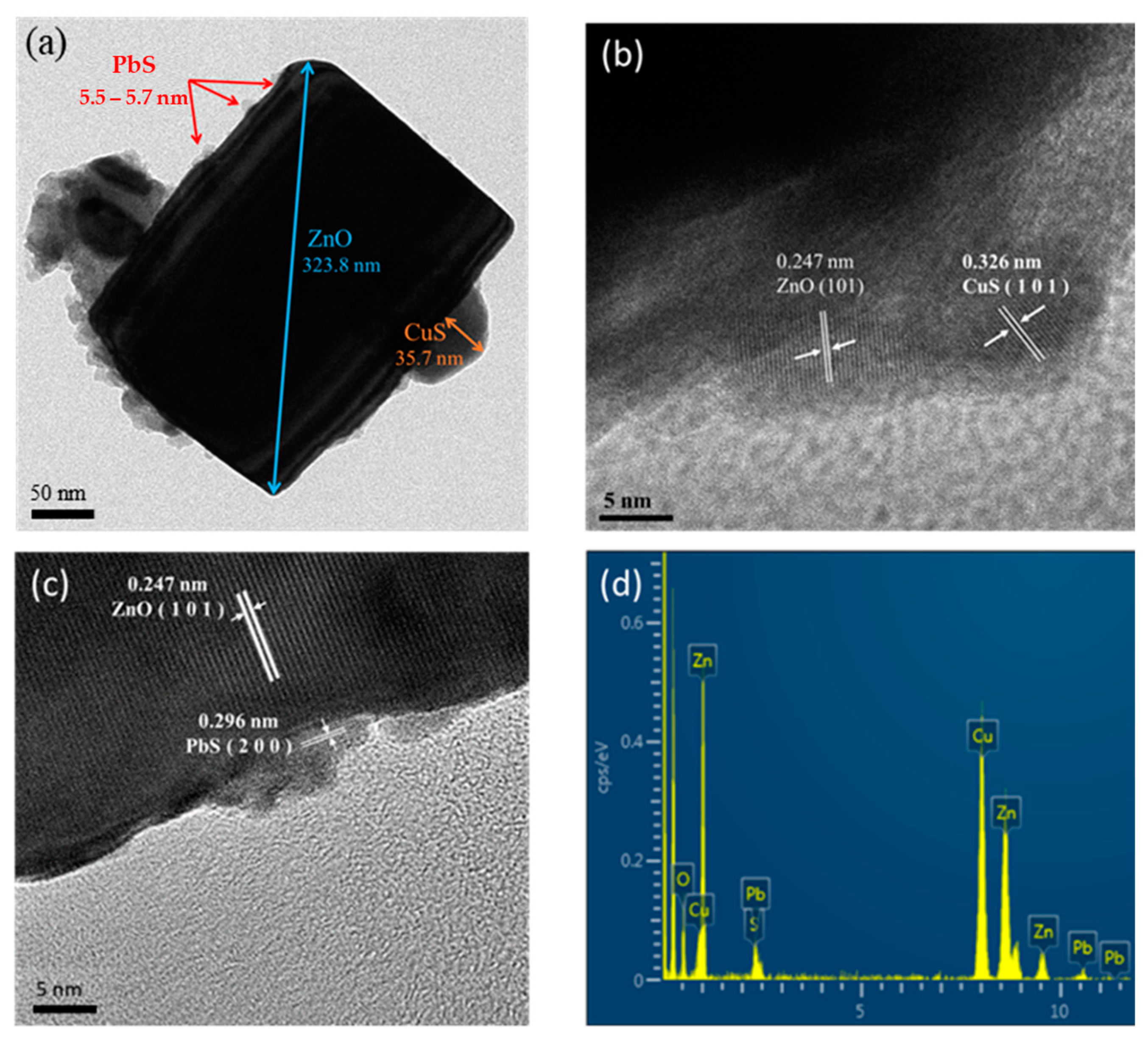 Catalysts 12 01677 g001