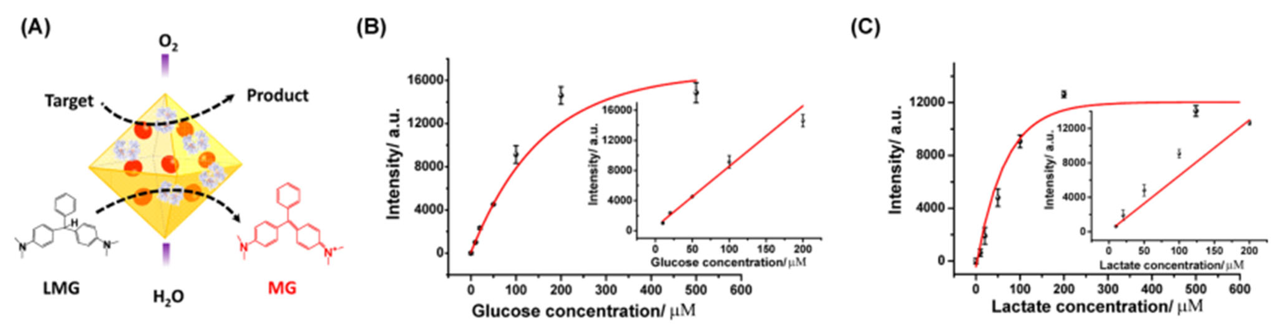 Catalysts 13 00013 g004