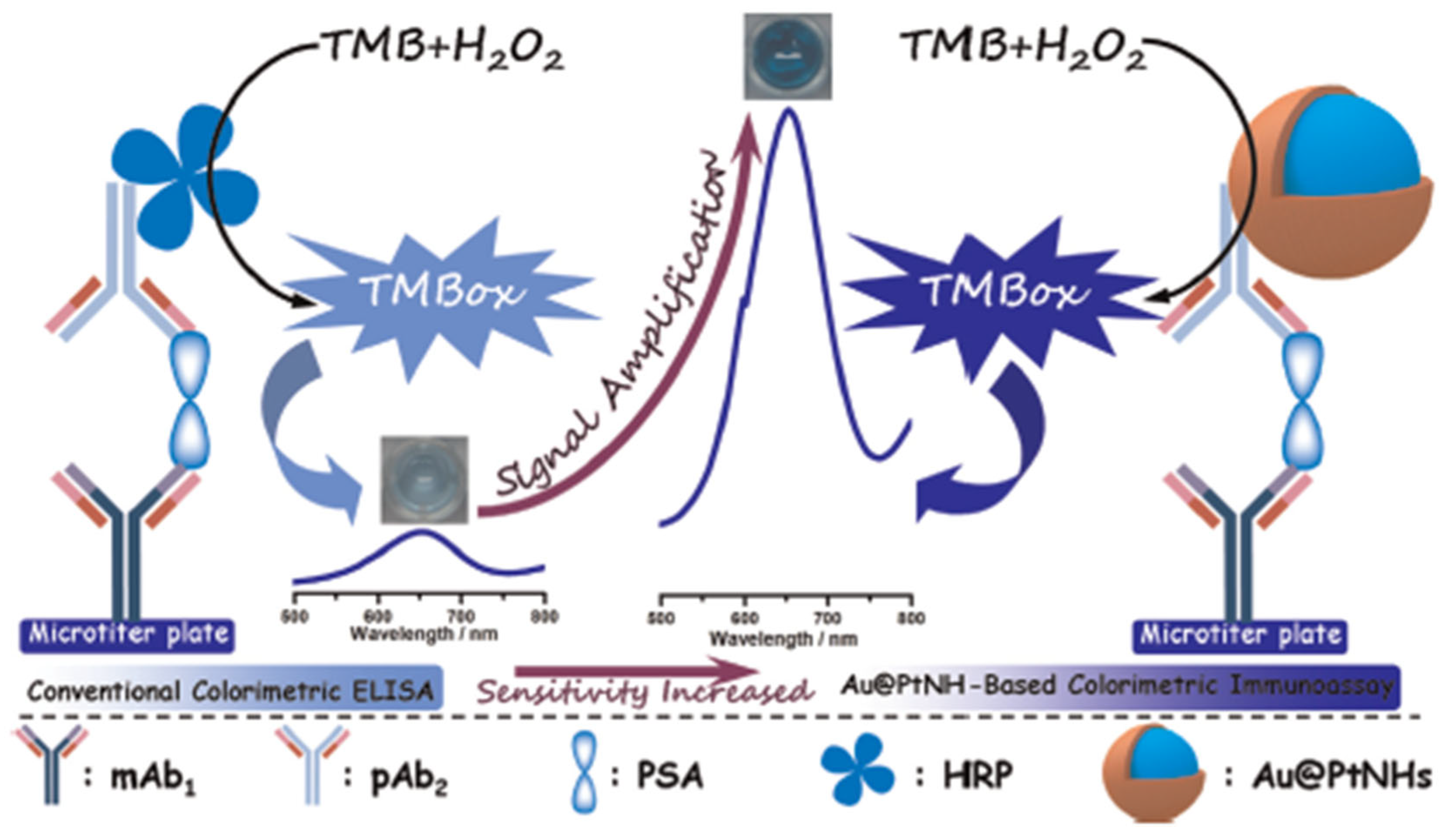 Catalysts 13 00013 g005