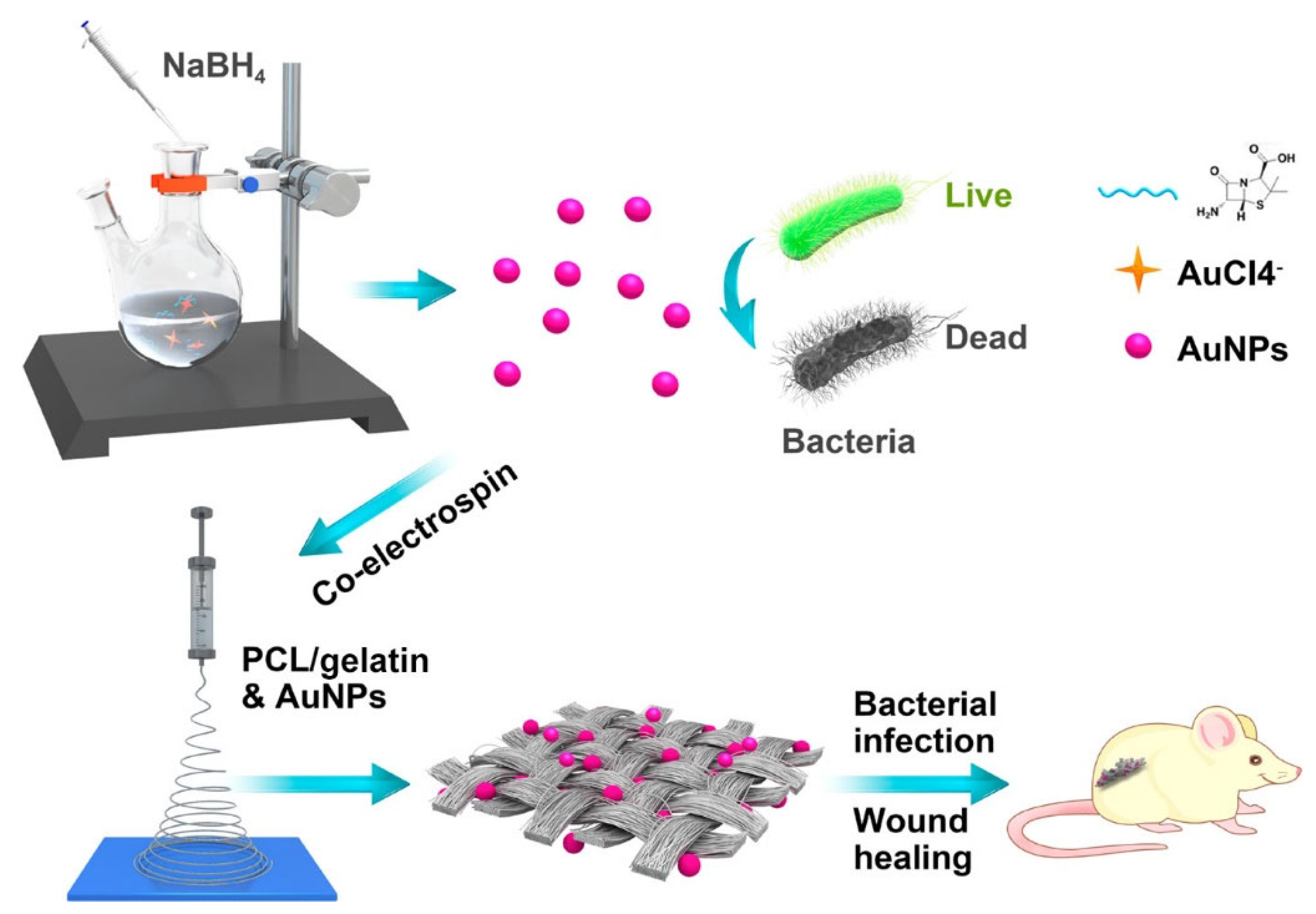 Catalysts 13 00013 g009