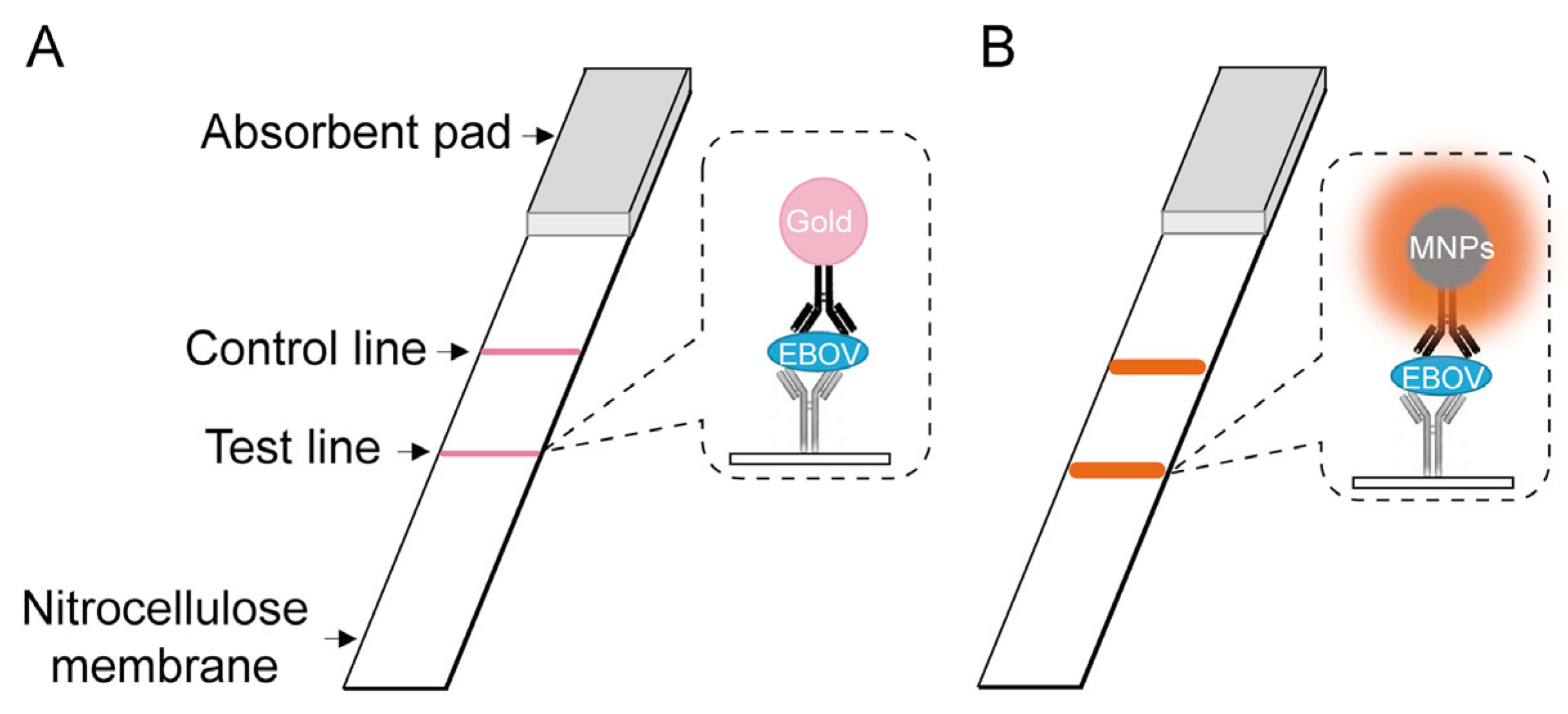 Catalysts 13 00013 g011