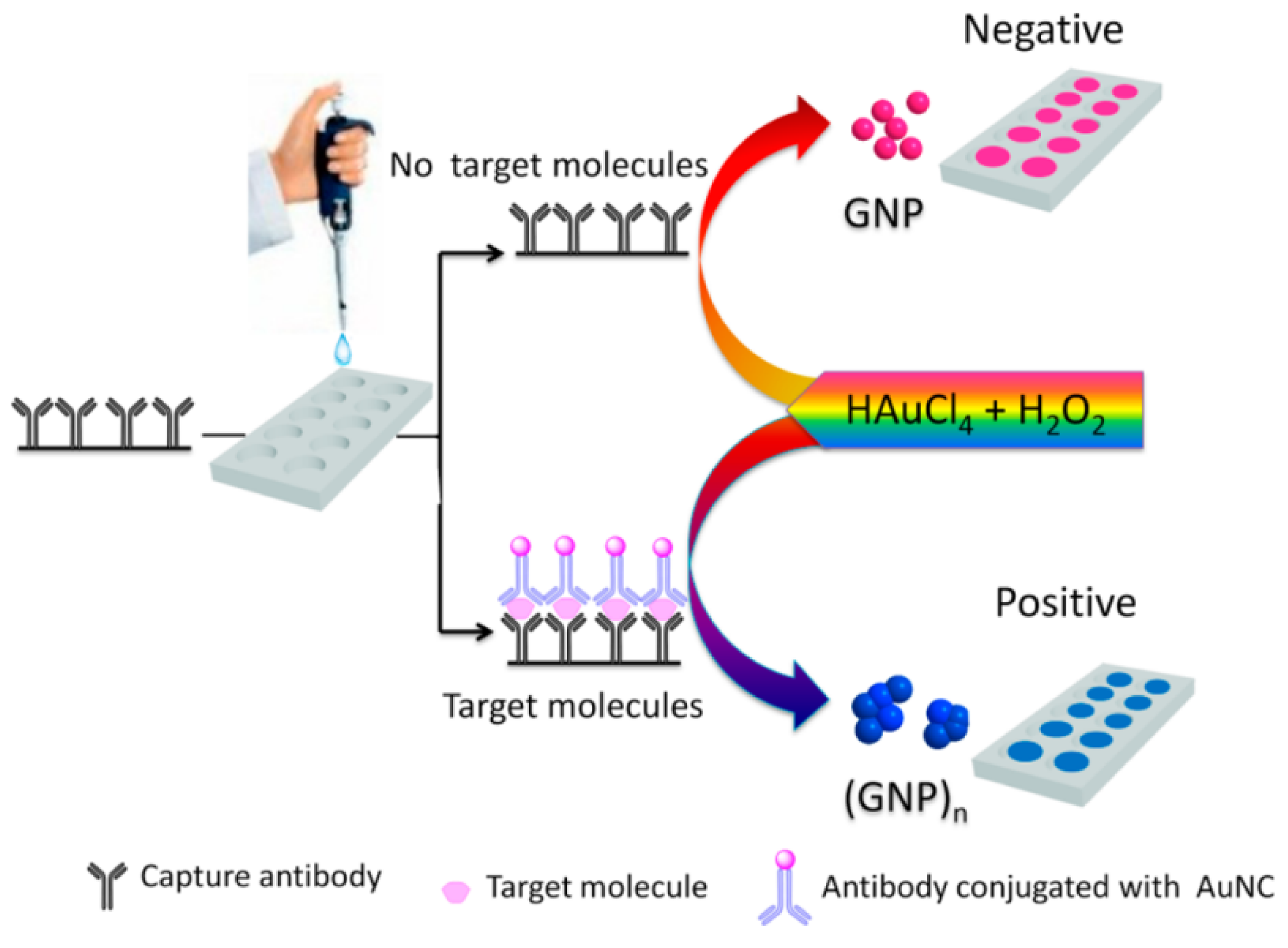 Catalysts 13 00013 g012